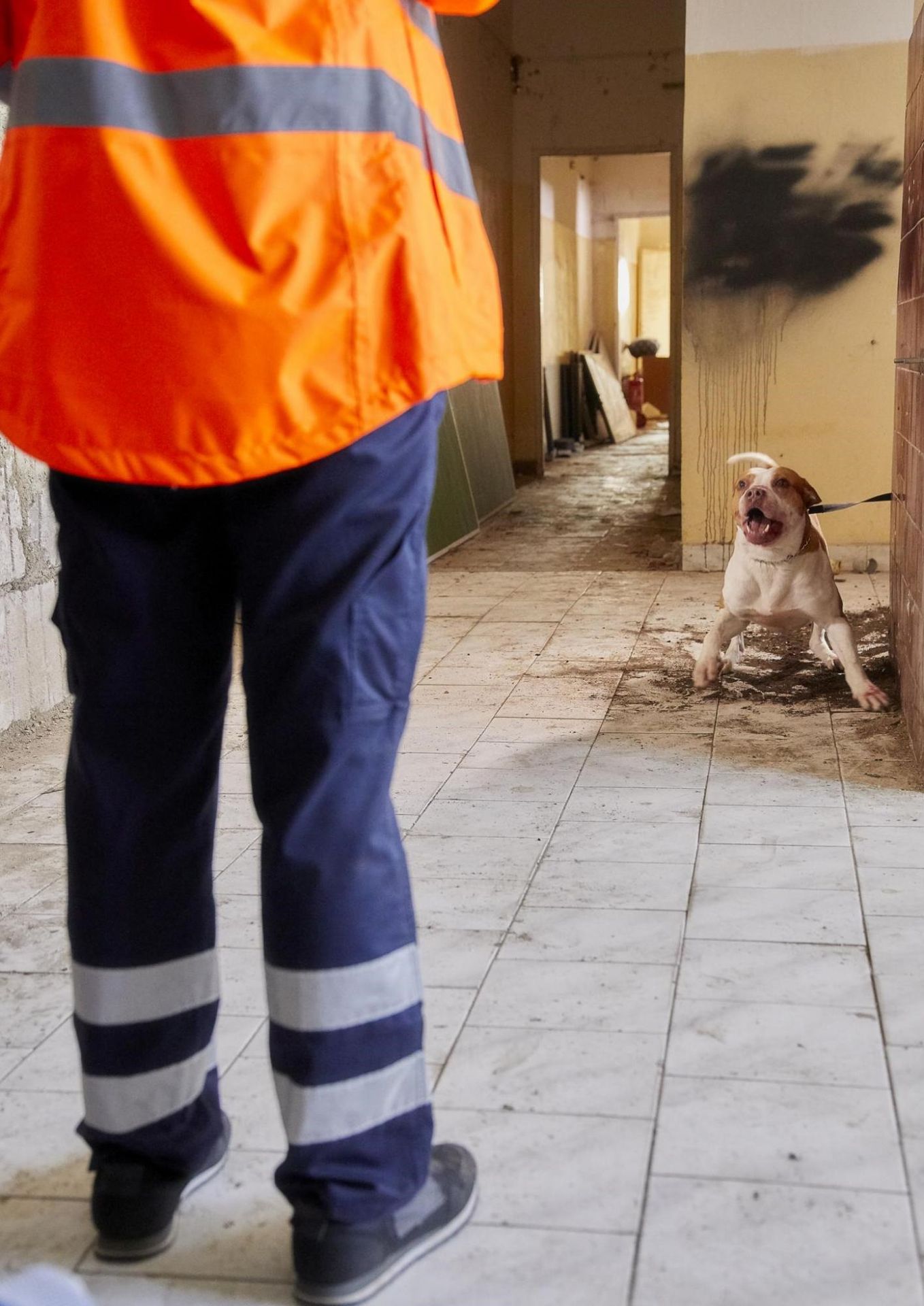Svatba, útok a nová postava v Ordinaci - 14 - GALERIE: Svatba, útok a nová postava v Ordinaci (14/16)
