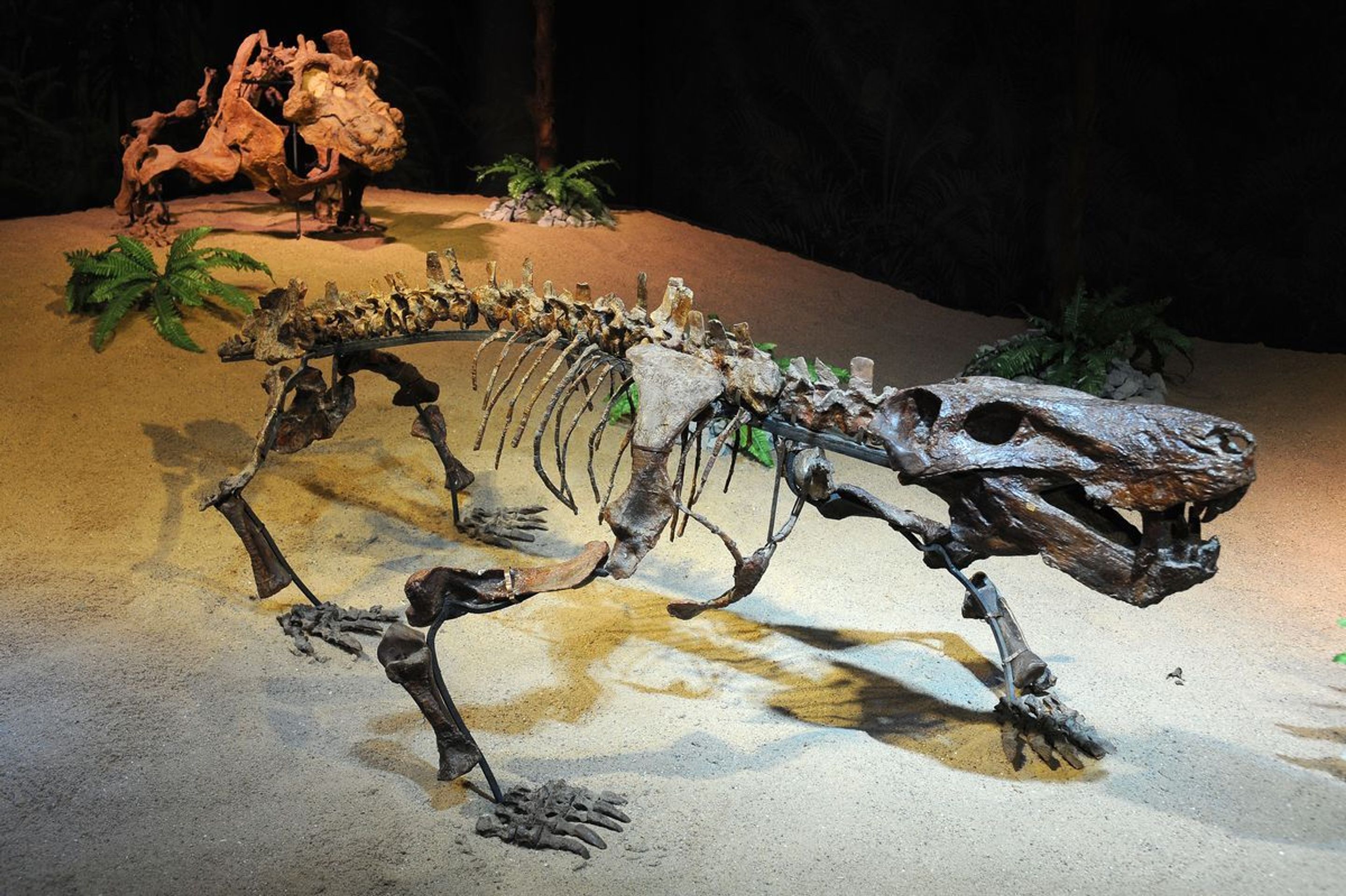 Výstava Dinosaurium - 6 - GALERIE: Výstava Dinosaurium (18/23)