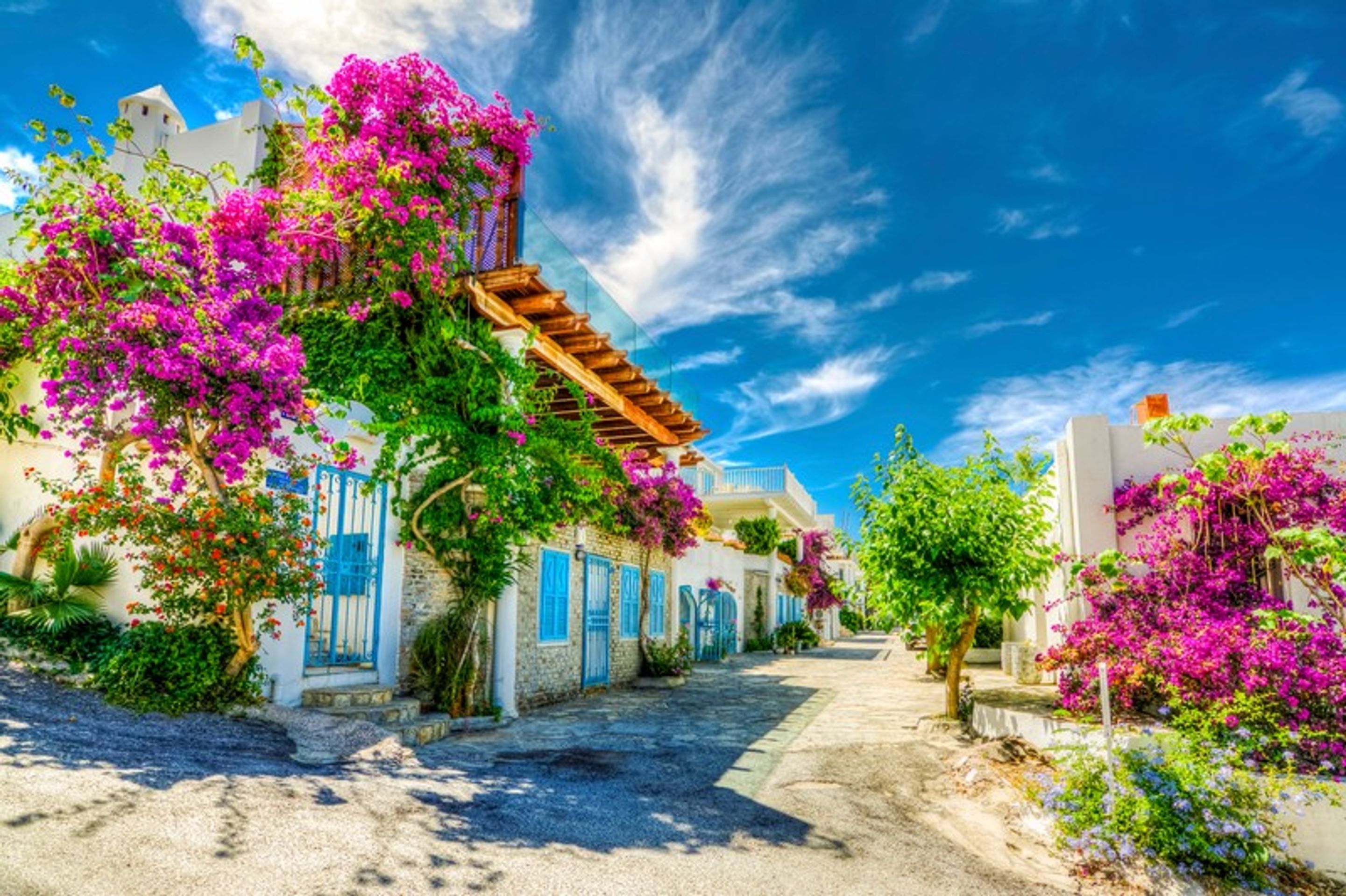 Turecké město Bodrum (4) - Turecké město Bodrum (1/5)
