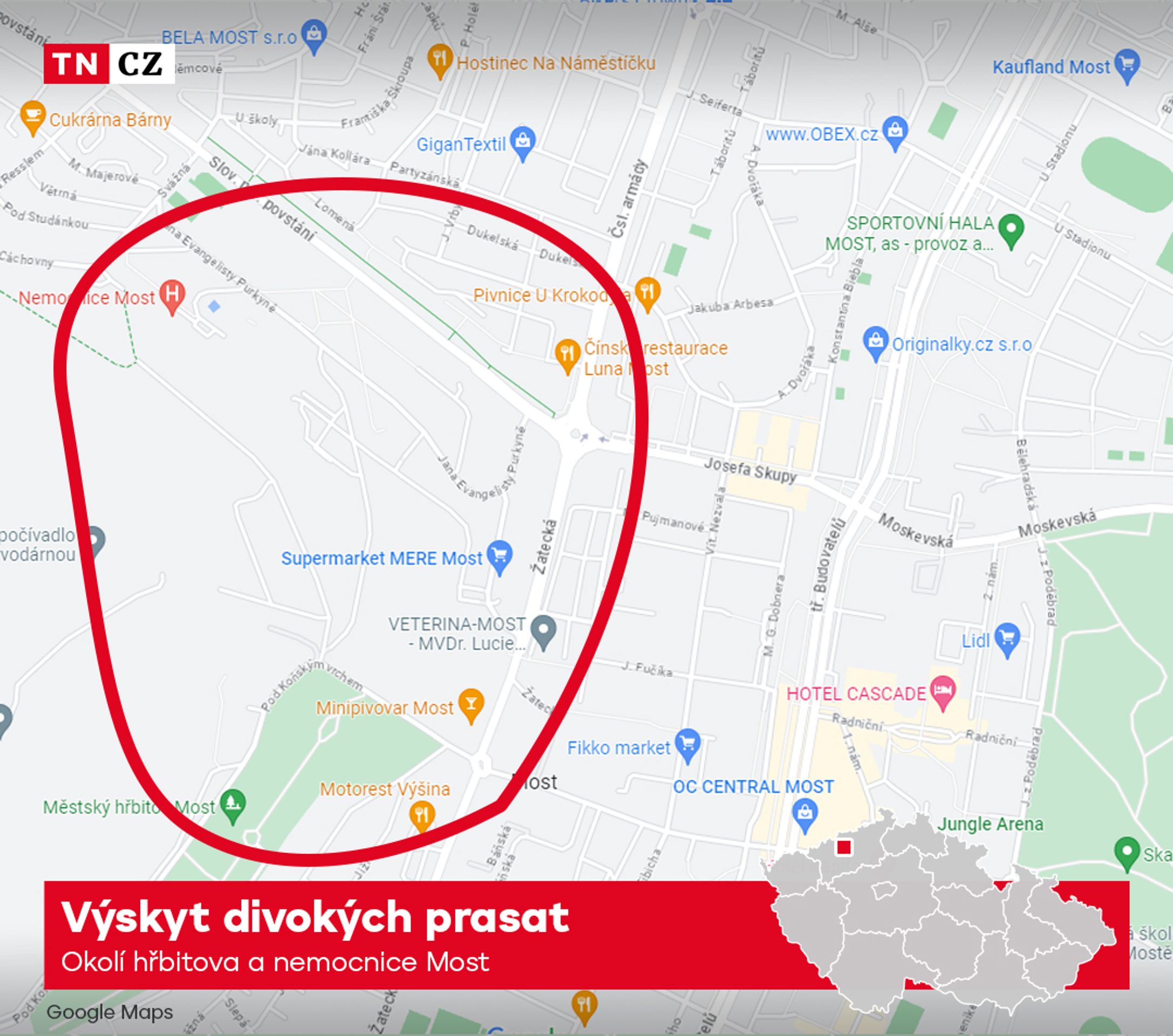 MAPA - oblast Nemocnice Most, Most - Výskyt divokých prasat - Mapa výskytu divokých prasat (4/4)