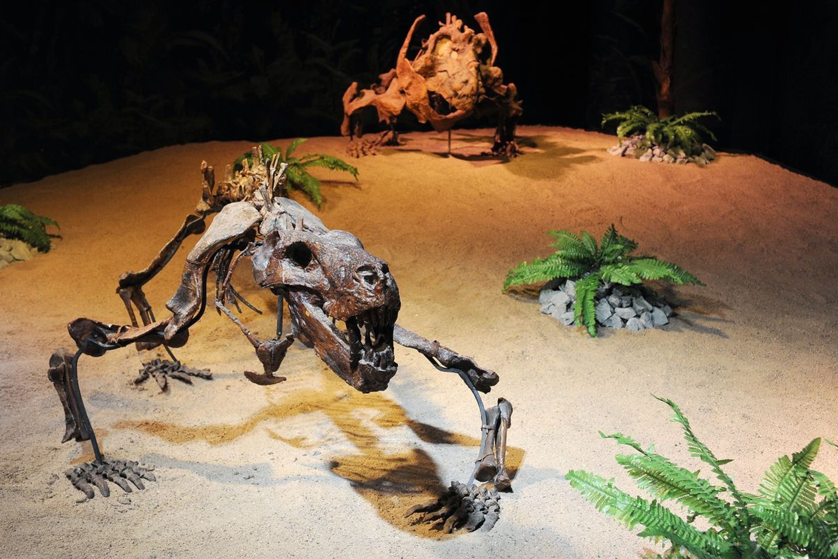 Výstava Dinosaurium - 7 - GALERIE: Výstava Dinosaurium (17/23)