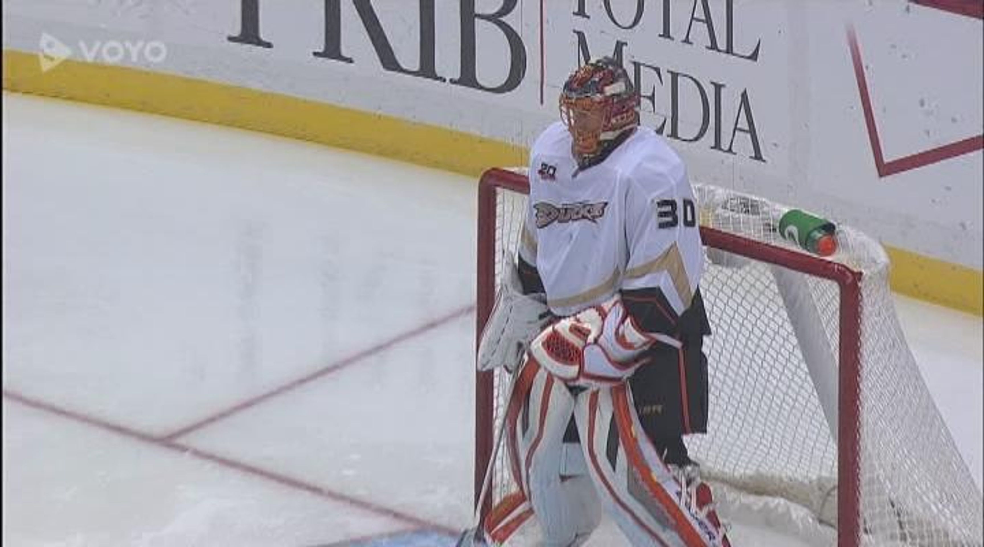 2013-11-19_NHL-PITTSBURGH_PENGUINS_ANAHEIM_DUCKS - VTHUMB - GALERIE: Cheyenne, neteř Tigera Woodse (2/8)
