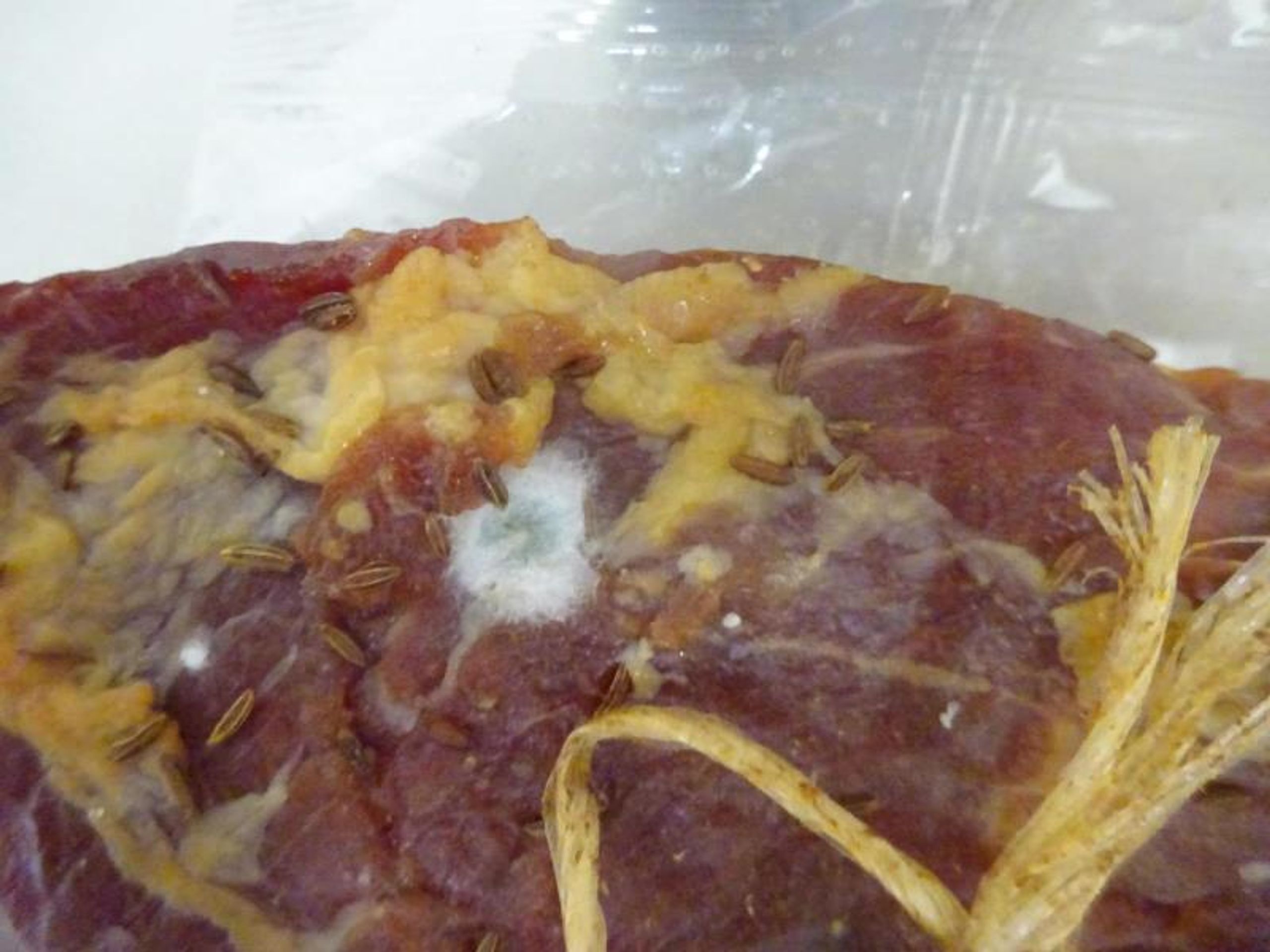 SLOVENSKÁ GAZDOVSKÁ SLANINA (6) - Závadné potraviny (11/14)