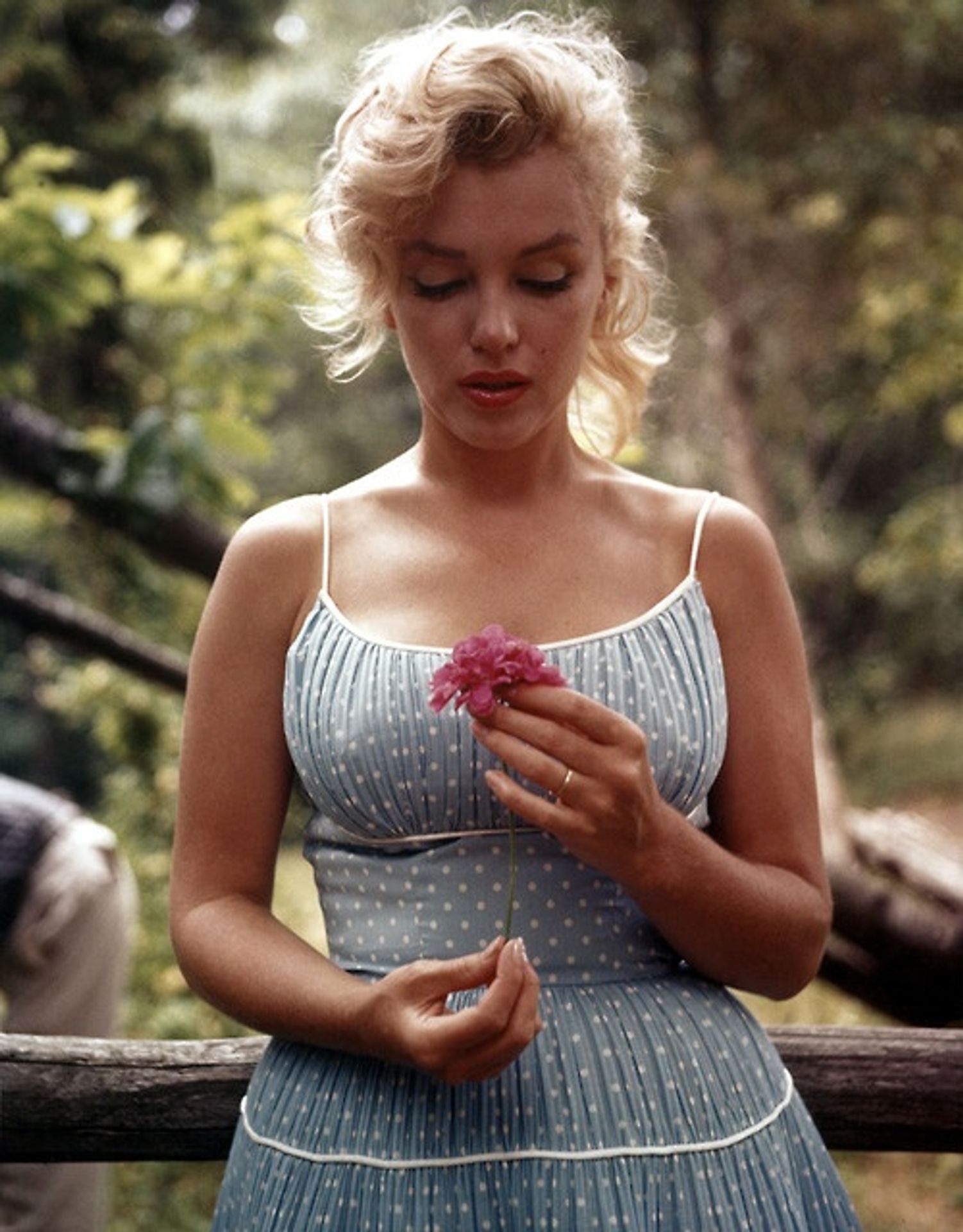 Marilyn Monroe - Marilyn Monroe (1/3)