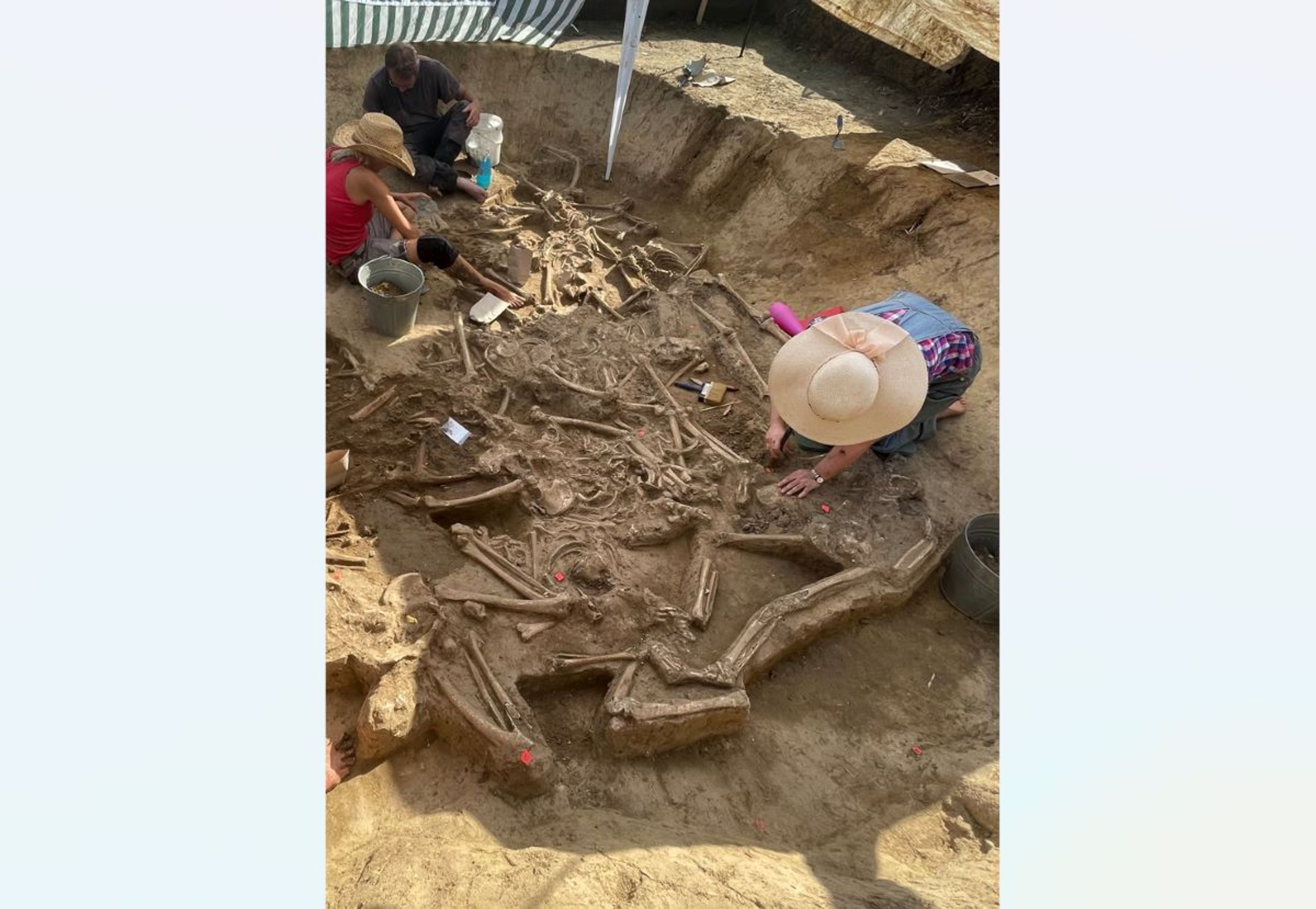 Archeologický nález - Archeologické nálezy nedaleko města Vráble (1/3)