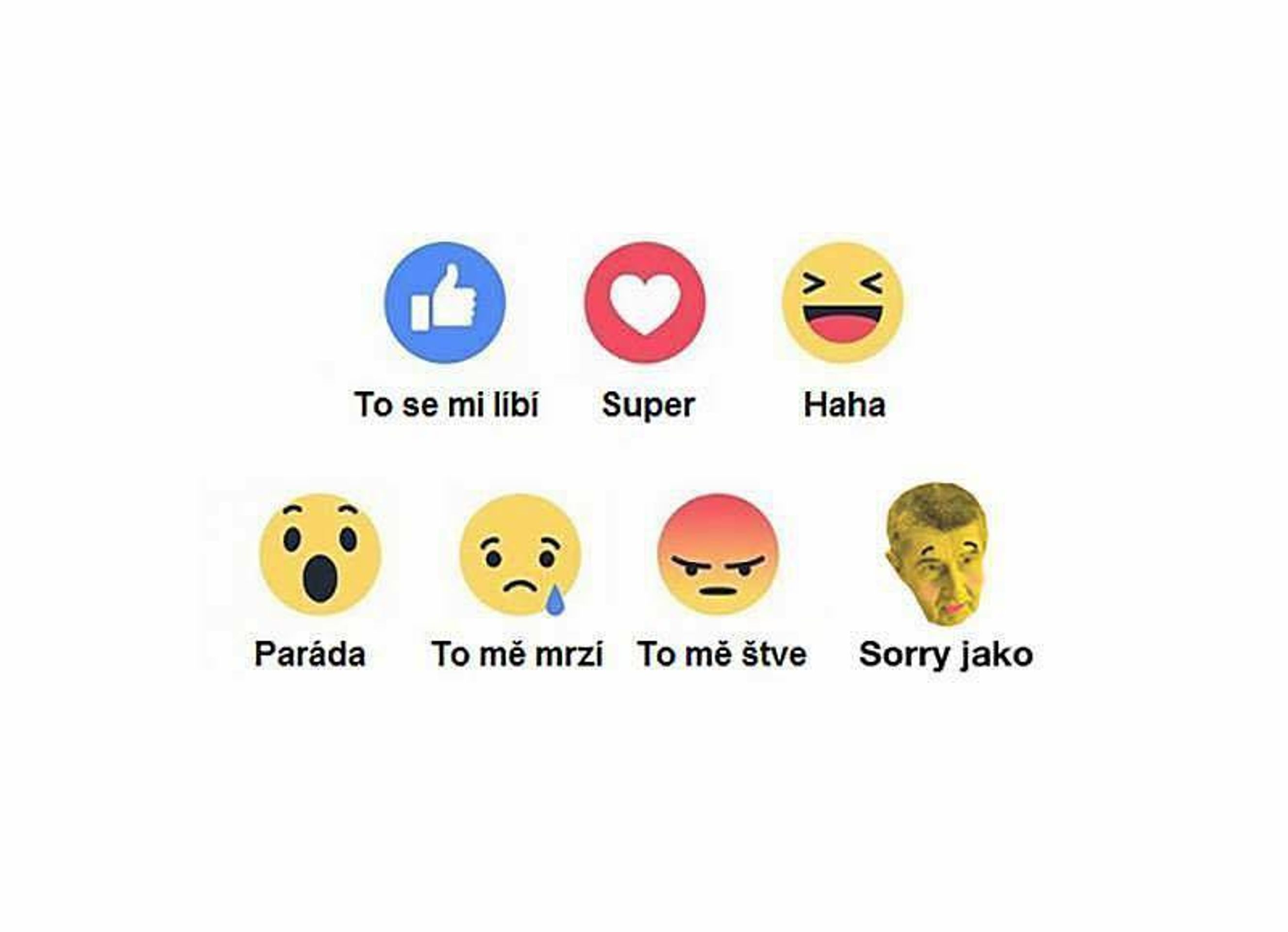 #sorryjako - národ se baví Babišem - 7 - GALERIE: Národ se baví Babišem - pan "Sorry Jako" (35/35)