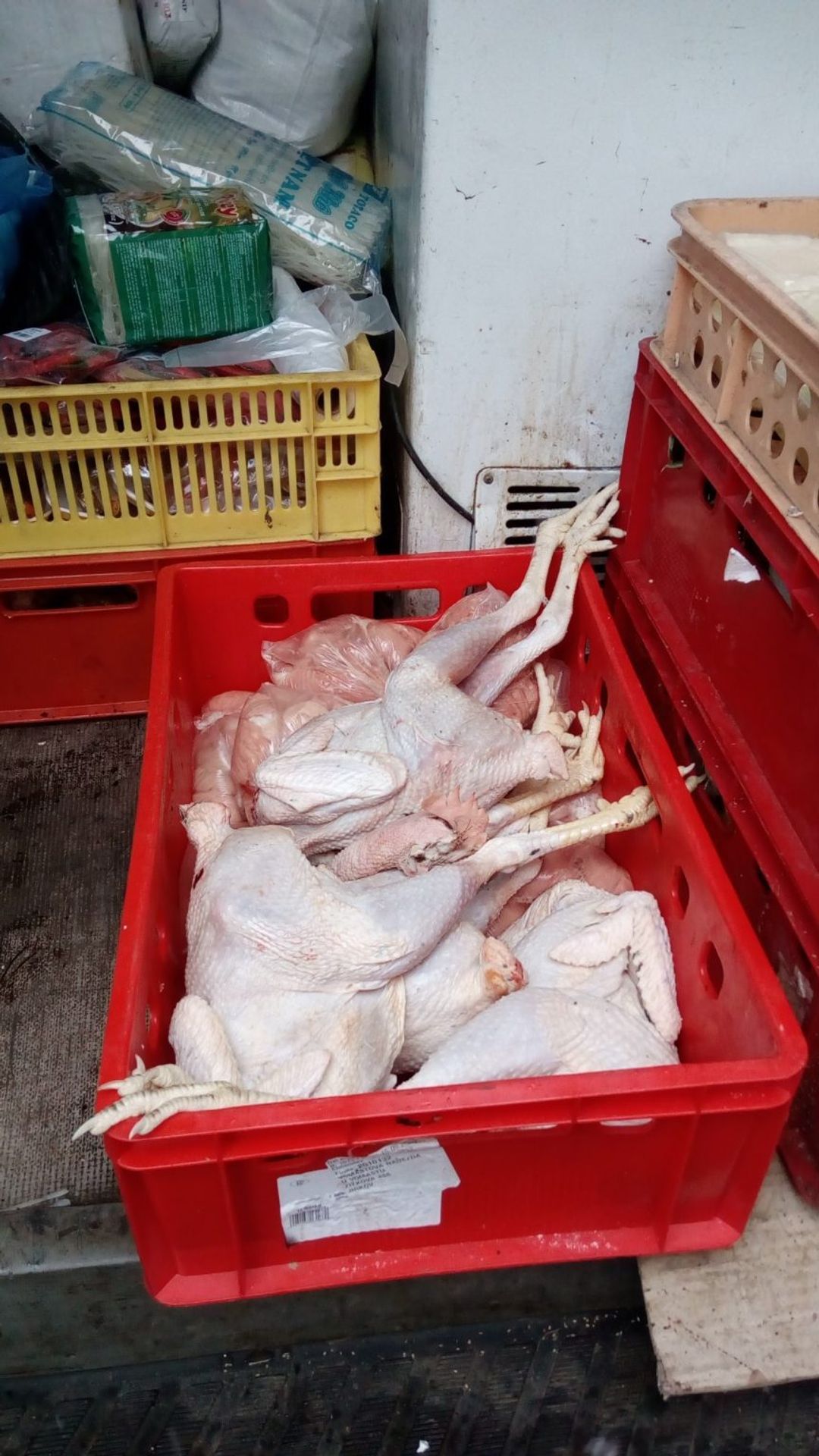 Zabavené maso - 1 - GALERIE: Veterinární správa zabavila přes 70 kg podezřelého masa (1/3)