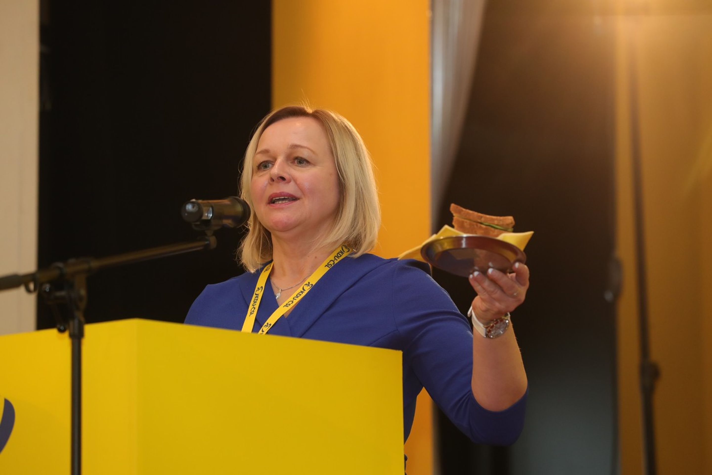 Ministryně práce a sociálních věcí - Šárka Jelínková - Jak by mohla vypadat nová vláda (5/13)