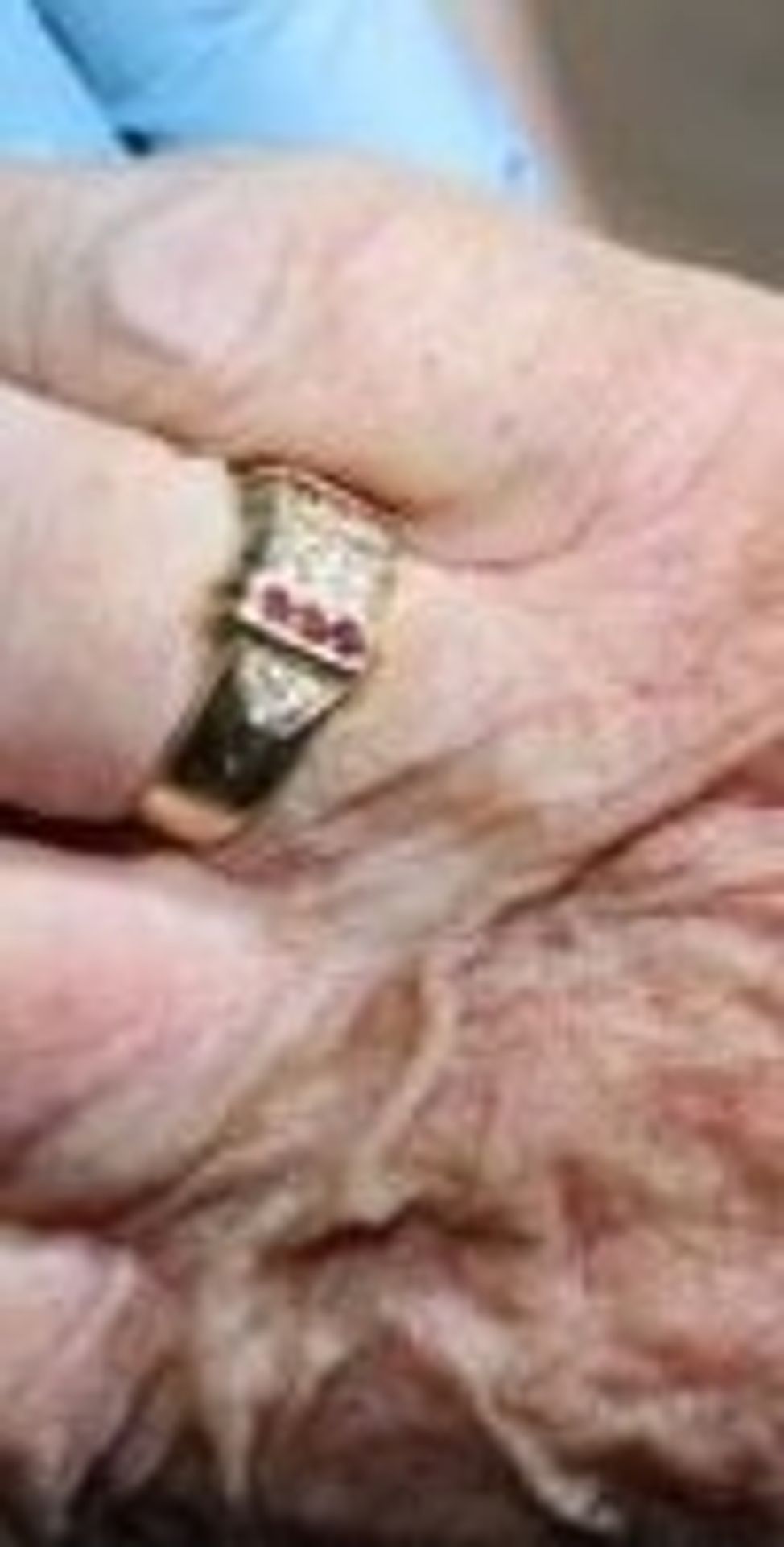 Nalezené tělo ženy mezi obcemi Klokočná a Svojetice na území Prahy-východ - 3 - GALERIE: Nalezené tělo ženy mezi obcemi Klokočná a Svojetice na území Prahy-východ (1/10)
