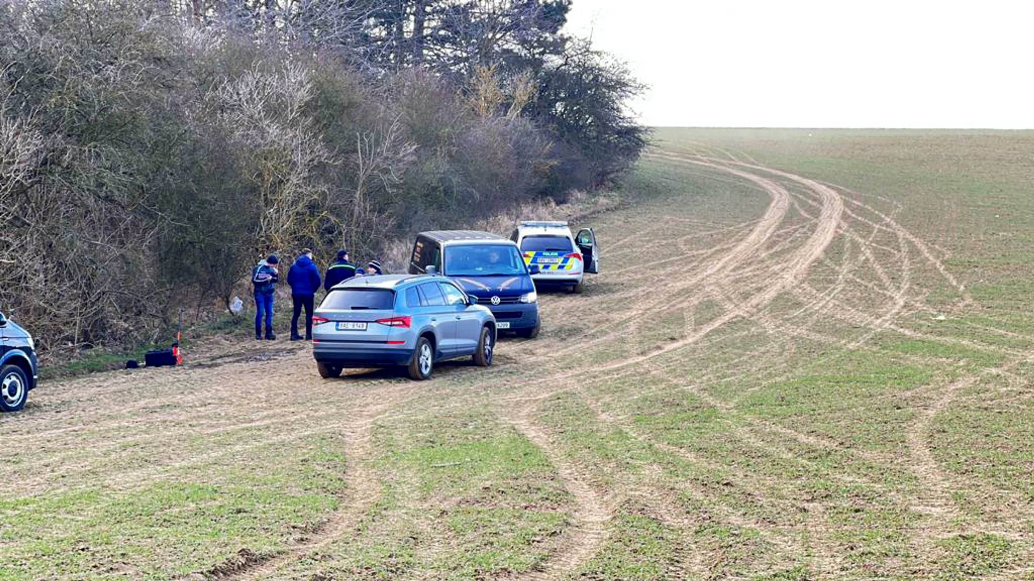 Dvě mrtvé osoby v Chuchelském háji (5) - Dvě mrtvé osoby v Chuchelském háji (12/14)