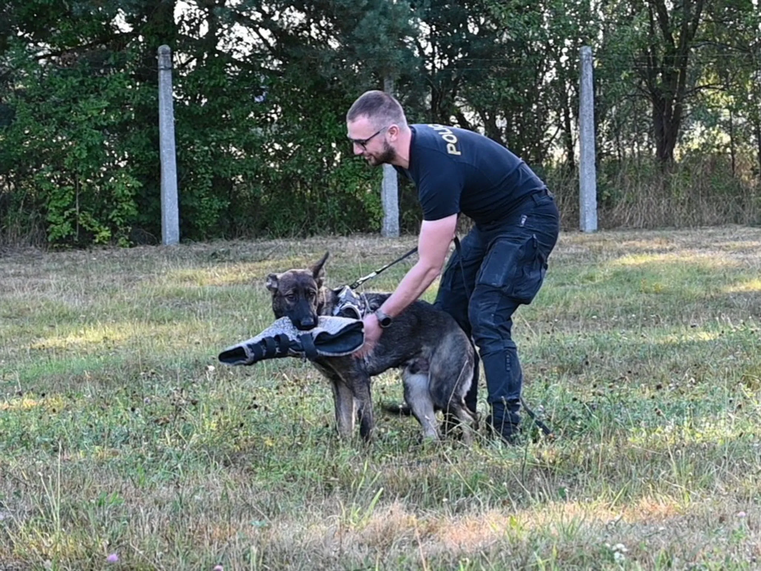 Českolipská policie má nové čtyřnohé posily - Českolipská policie má nové čtyřnohé posily (9/9)