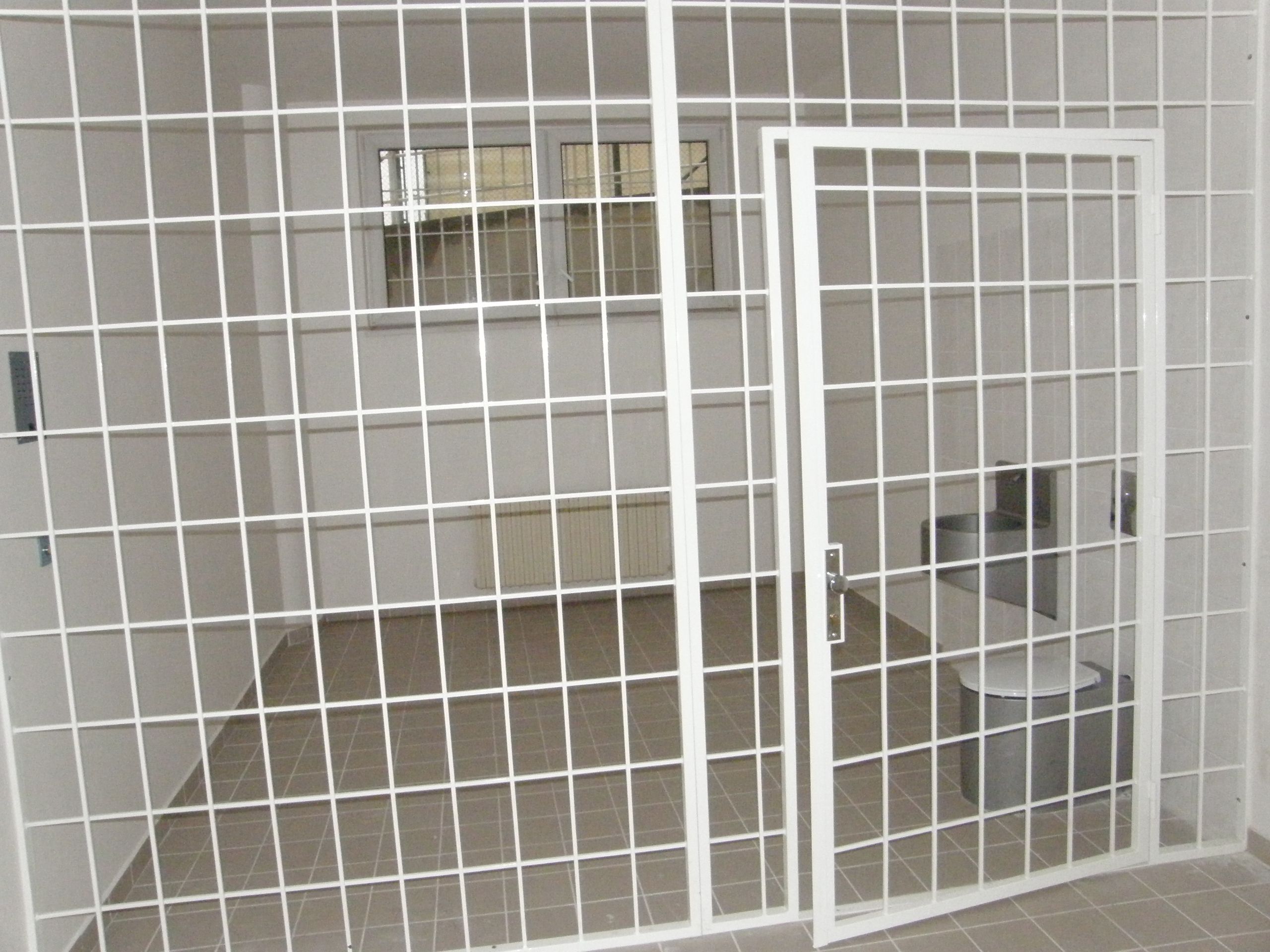 Detenční ústav v Brně - Detenční ústavy v ČR (1/1)