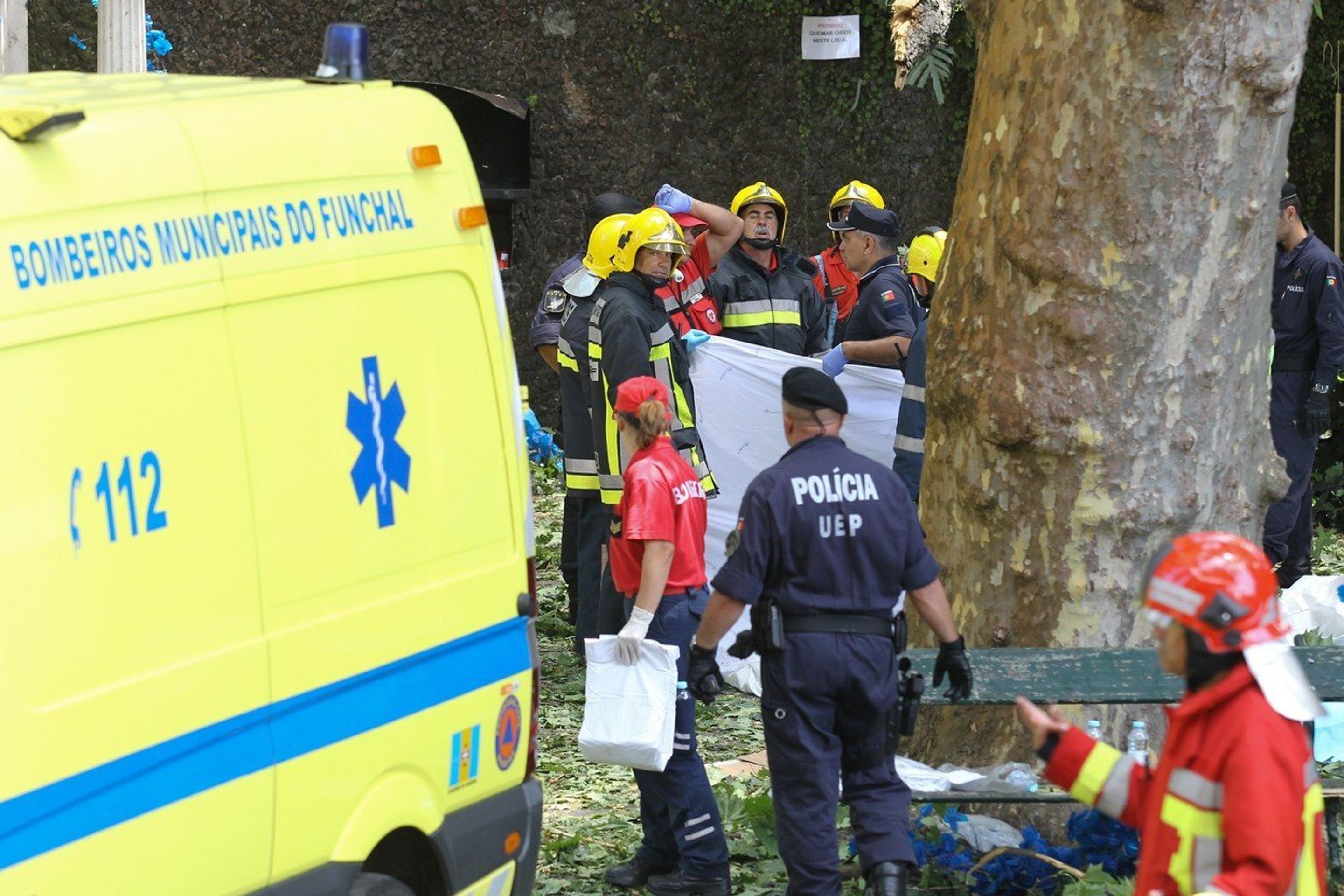 Pád stromu na na portugalském ostrově Madeira - 2 - GALERIE: Pád stromu na na portugalském ostrově Madeira (2/4)