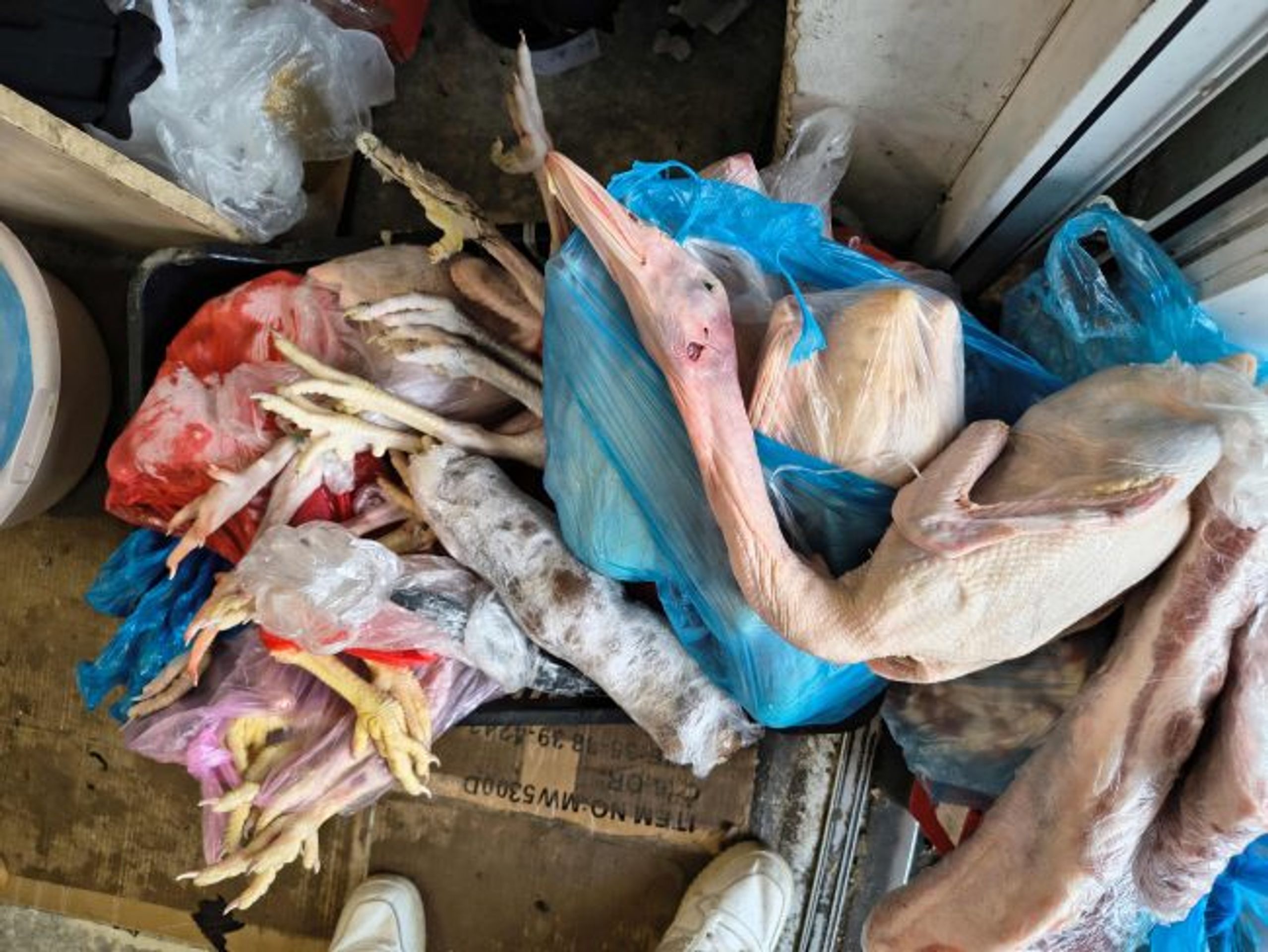 Drůbež s pařáty a hlavou - Veterinární kontrola v Brně (1/3)