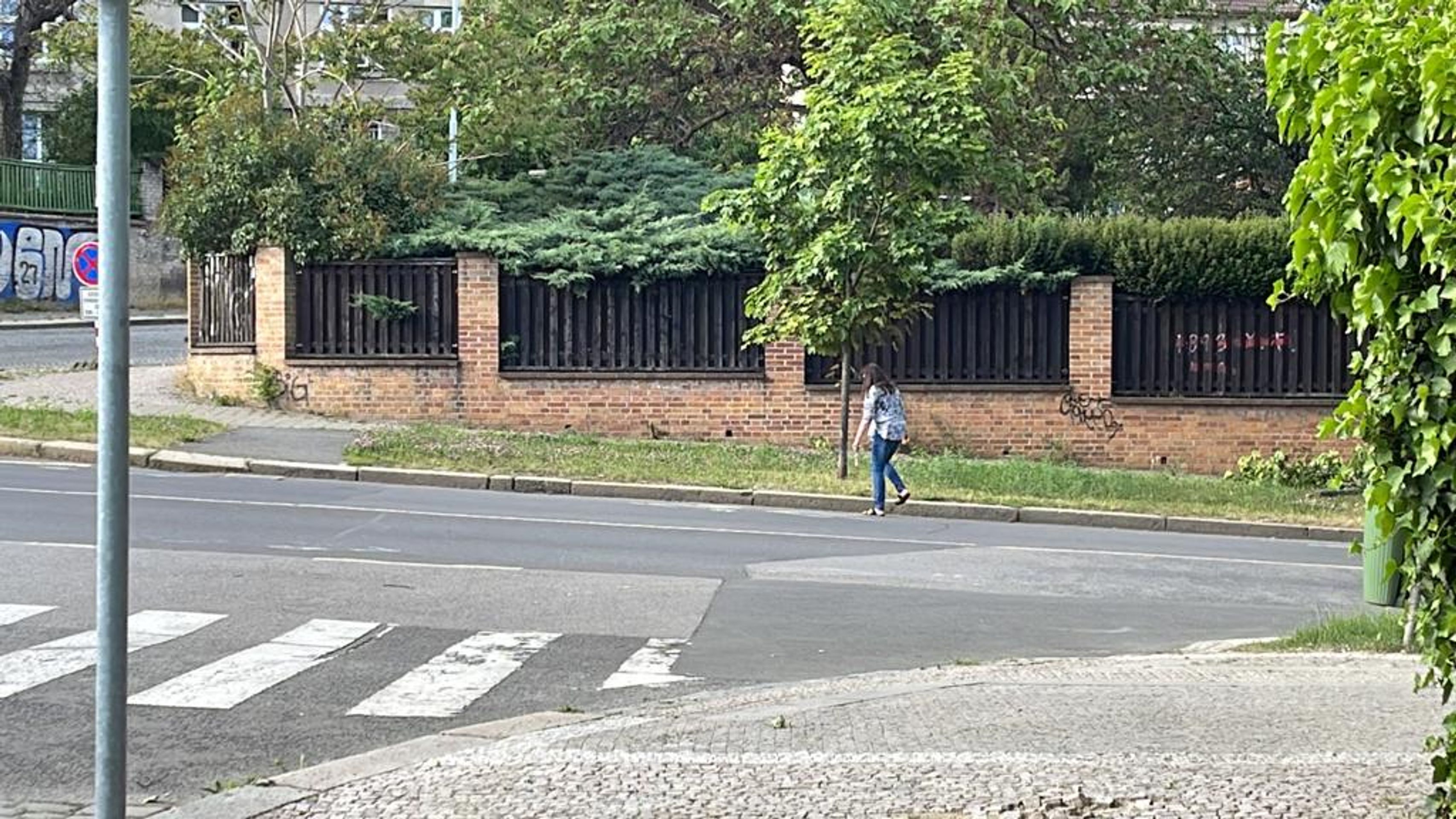 Dáda Patrasová se po nehodě válela na ulici - Dagmar Patrasová se po nehodě válela na ulici (2/5)