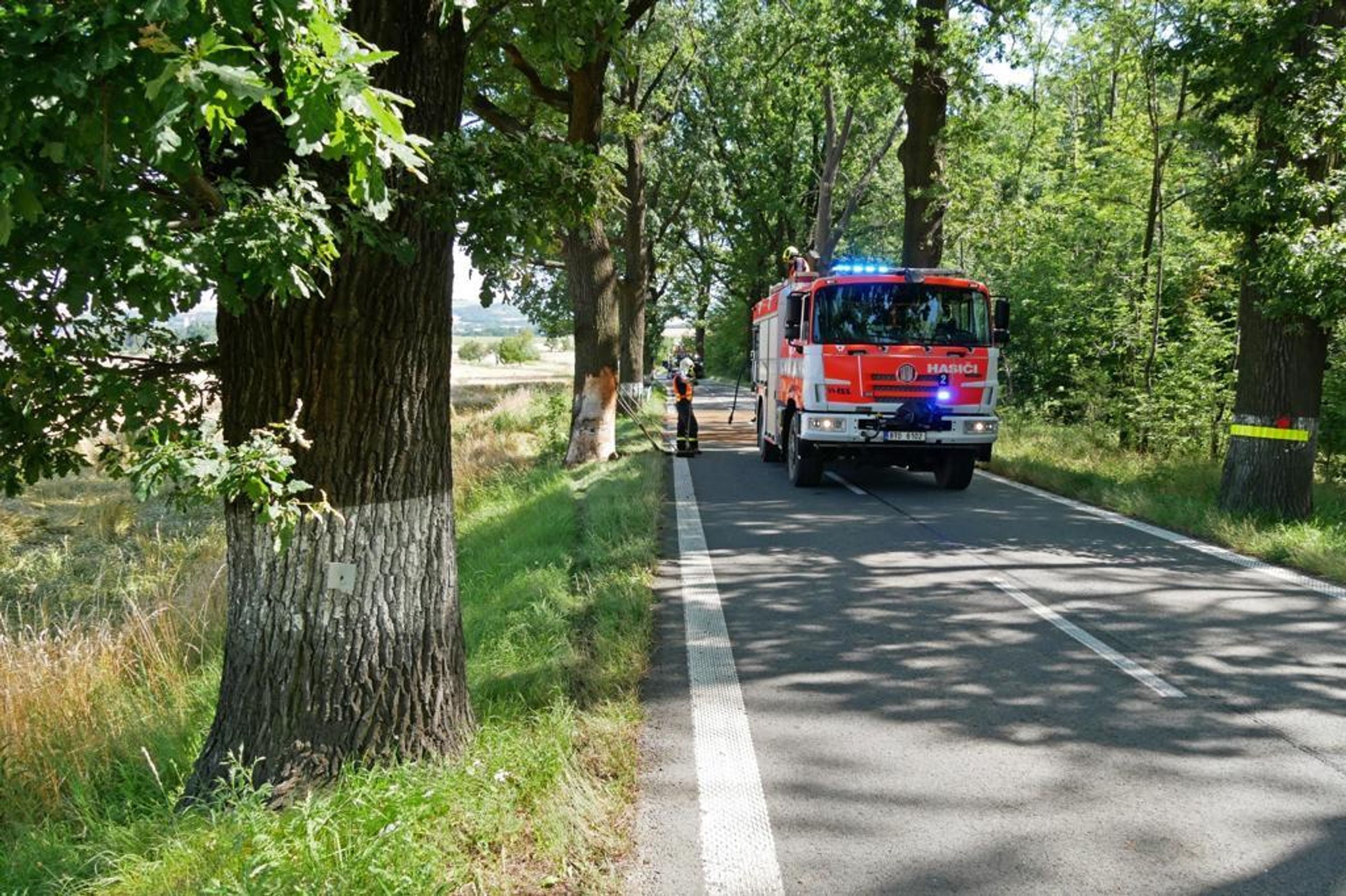 Tragická nehoda na Bruntálsku, zemřel 23letý mladík - 6 - GALERIE: Na Bruntálsku vyhasl mladý život (2/6)