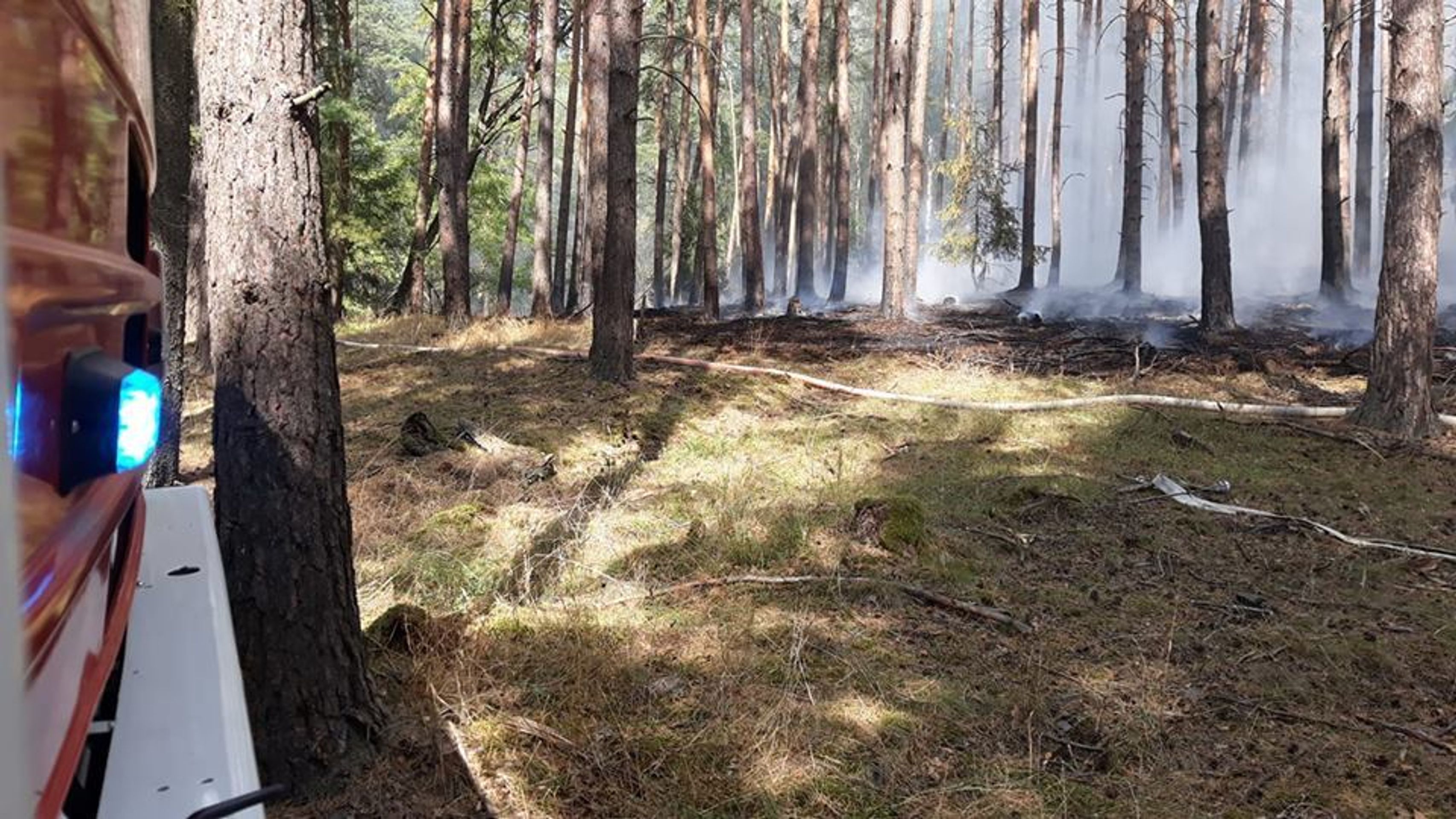 Rozsáhlý požár lesa nedaleko železniční trati u Pňovan - 4 - GALERIE: Požár lesa nedaleko železniční trati u Pňovan (6/9)