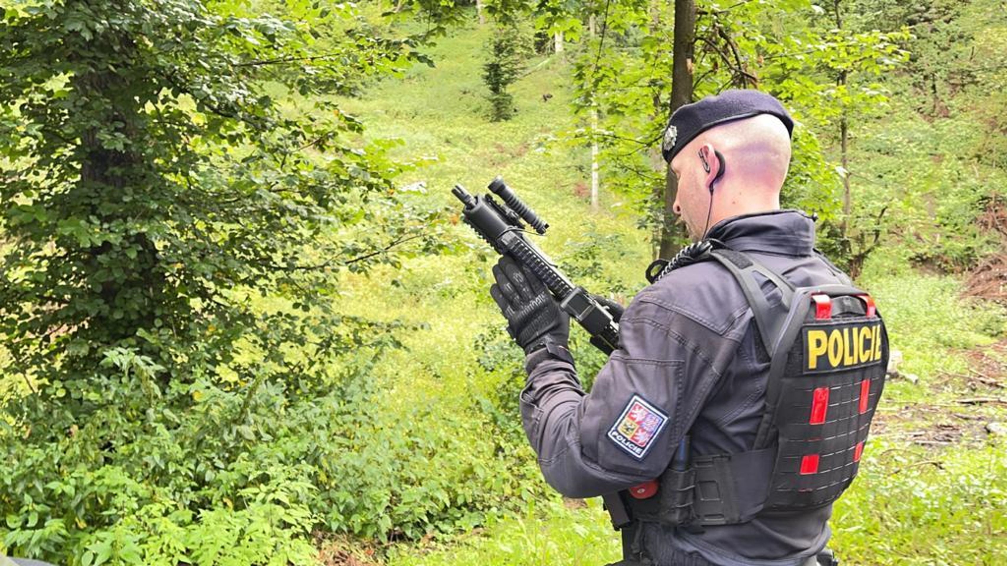 Policisté u Dolních Břežan u Prahy hledají medvěda - 2 - GALERIE: Policisté u Prahy pátrají po medvědovi (7/8)