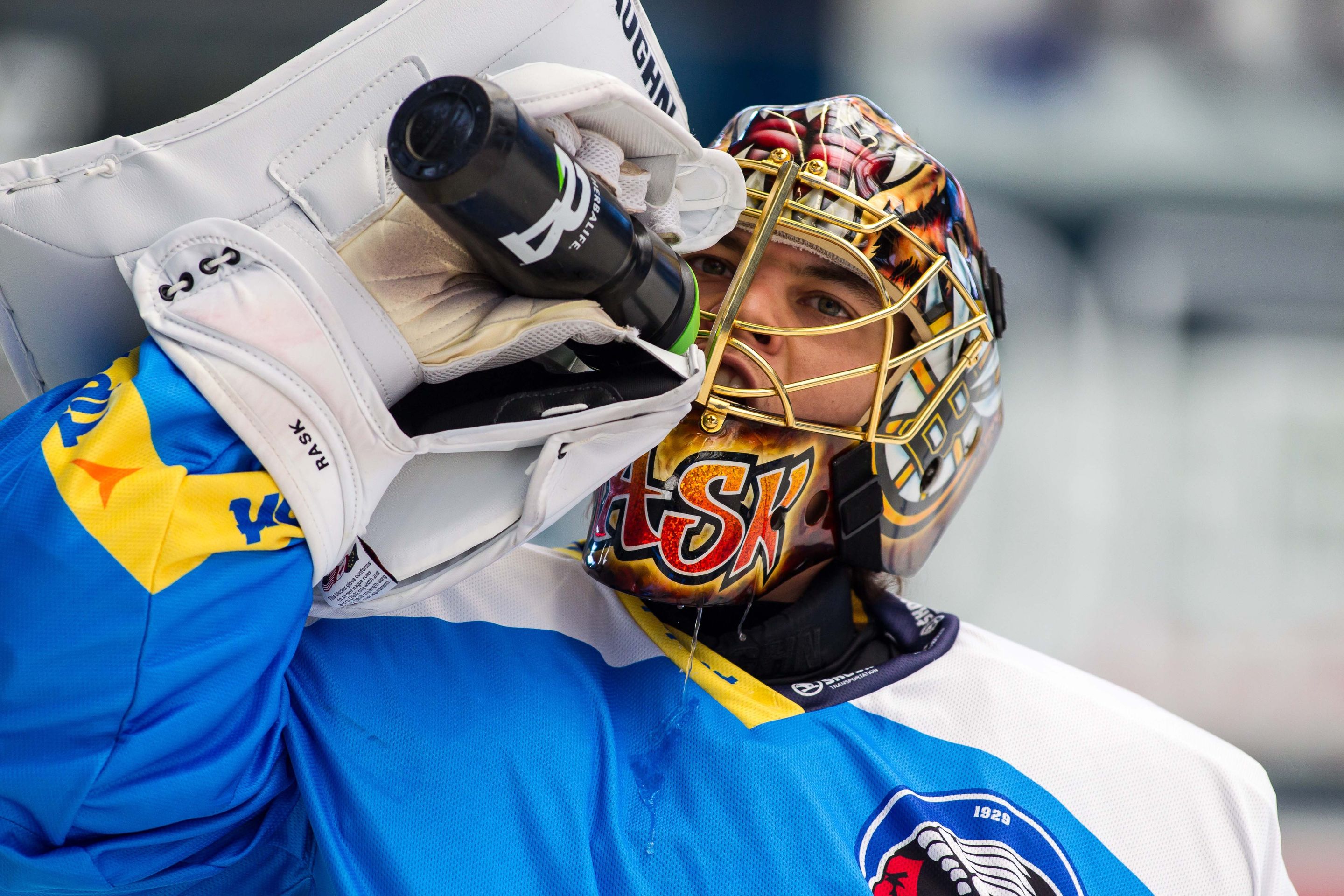 David Kočí vs. Ryan Hollweg, bitka z NHL v extralize - 2 - GALERIE: David Kočí vs. Ryan Hollweg (6/7)