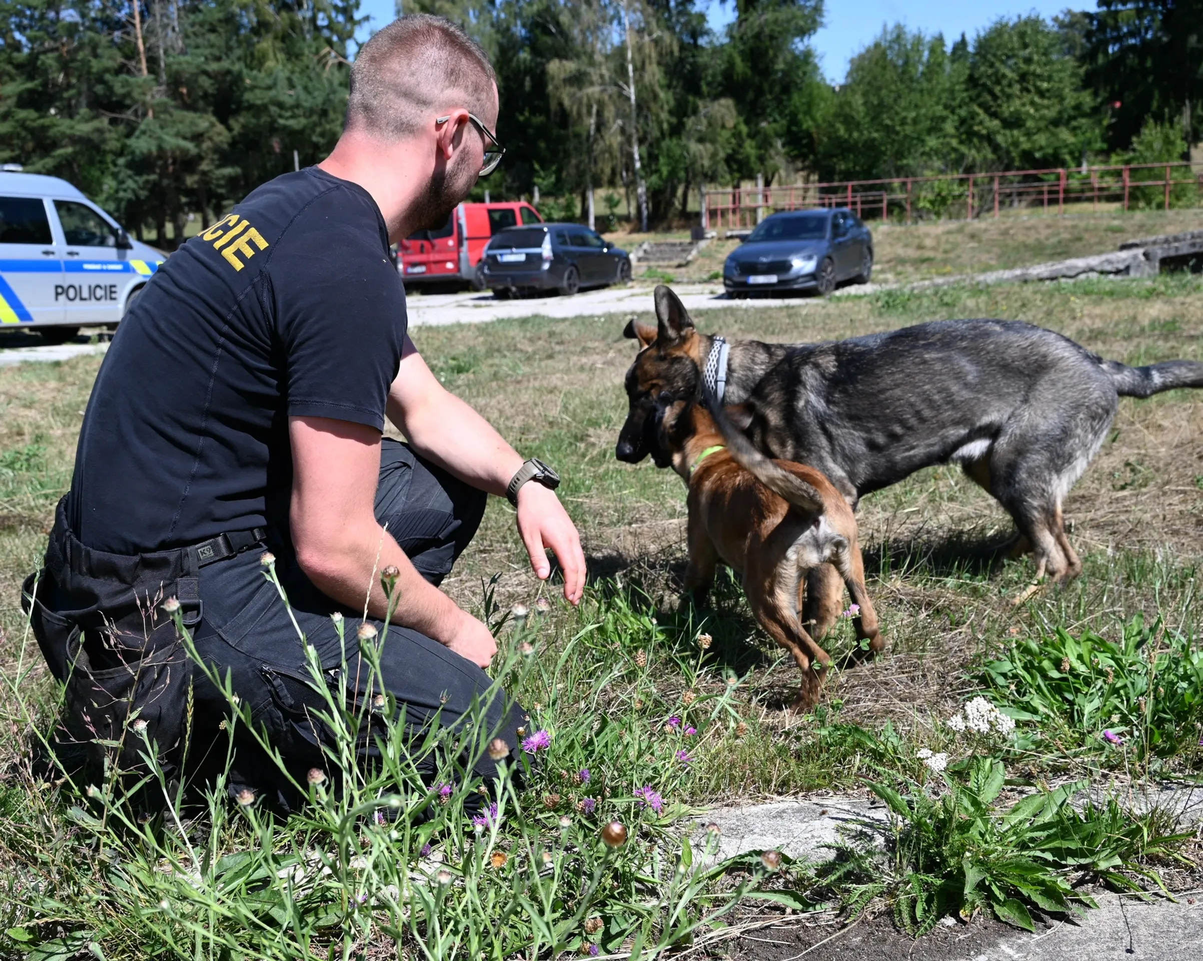 Českolipská policie má nové čtyřnohé posily - Českolipská policie má nové čtyřnohé posily (8/9)