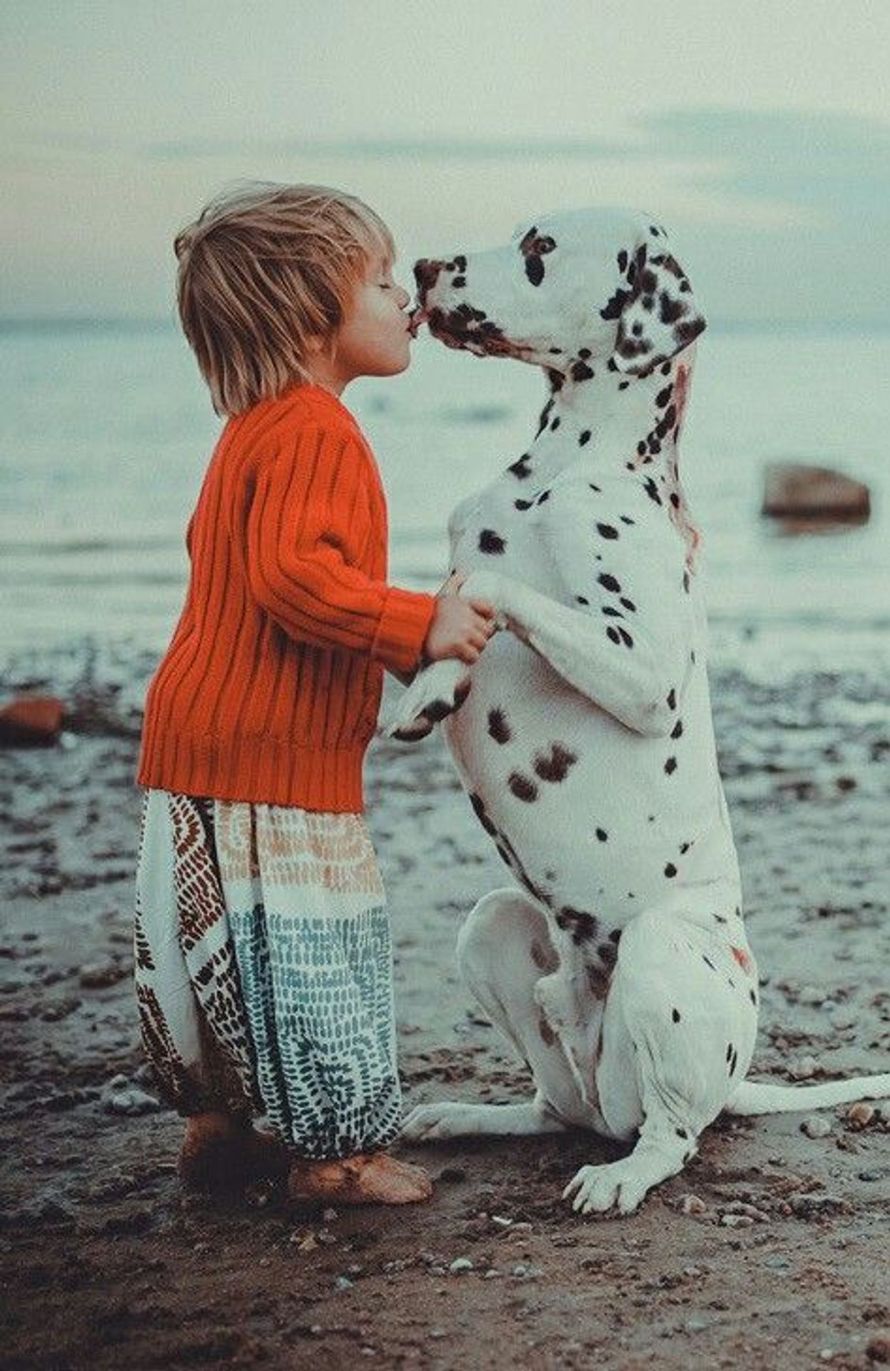 Psi a děti jsou nerozluční kamarádi - 7 - GALERIE: Přátelství mezi psem a dítětem (7/10)