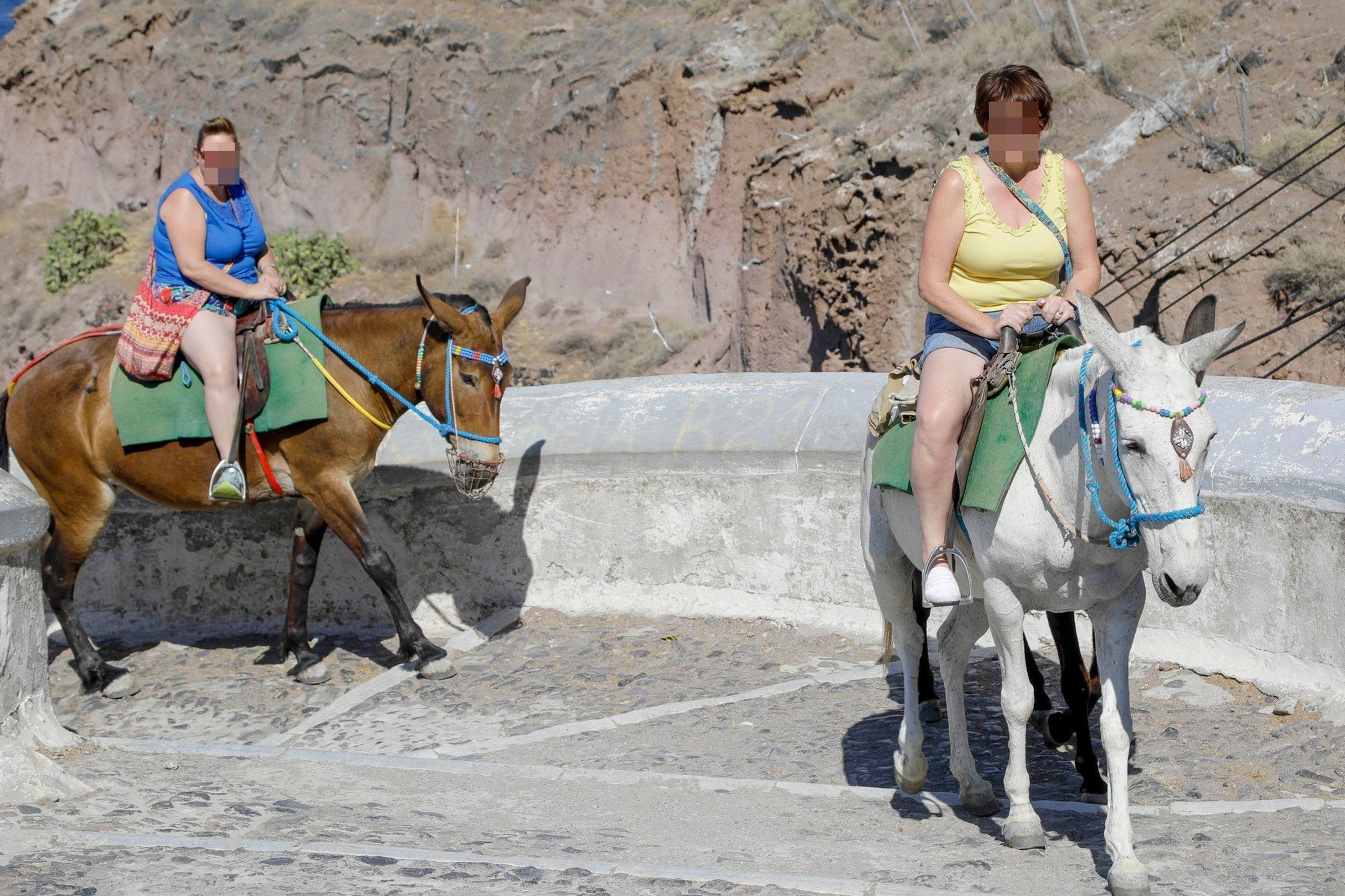 Osli trpí pod macatými turisty - 4 - GALERIE: Osli vezoucí turisty na řeckém Santorini (2/5)
