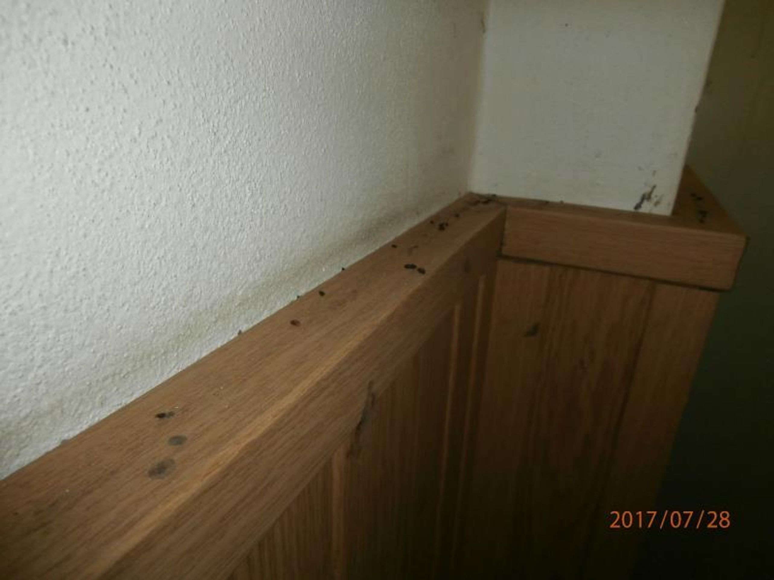 Uzavřené provozovny: Restaurace Barakuda - Kralupy nad Vltavou - 5 - GALERIE: Uzavřené provozovny - 2 (5/42)