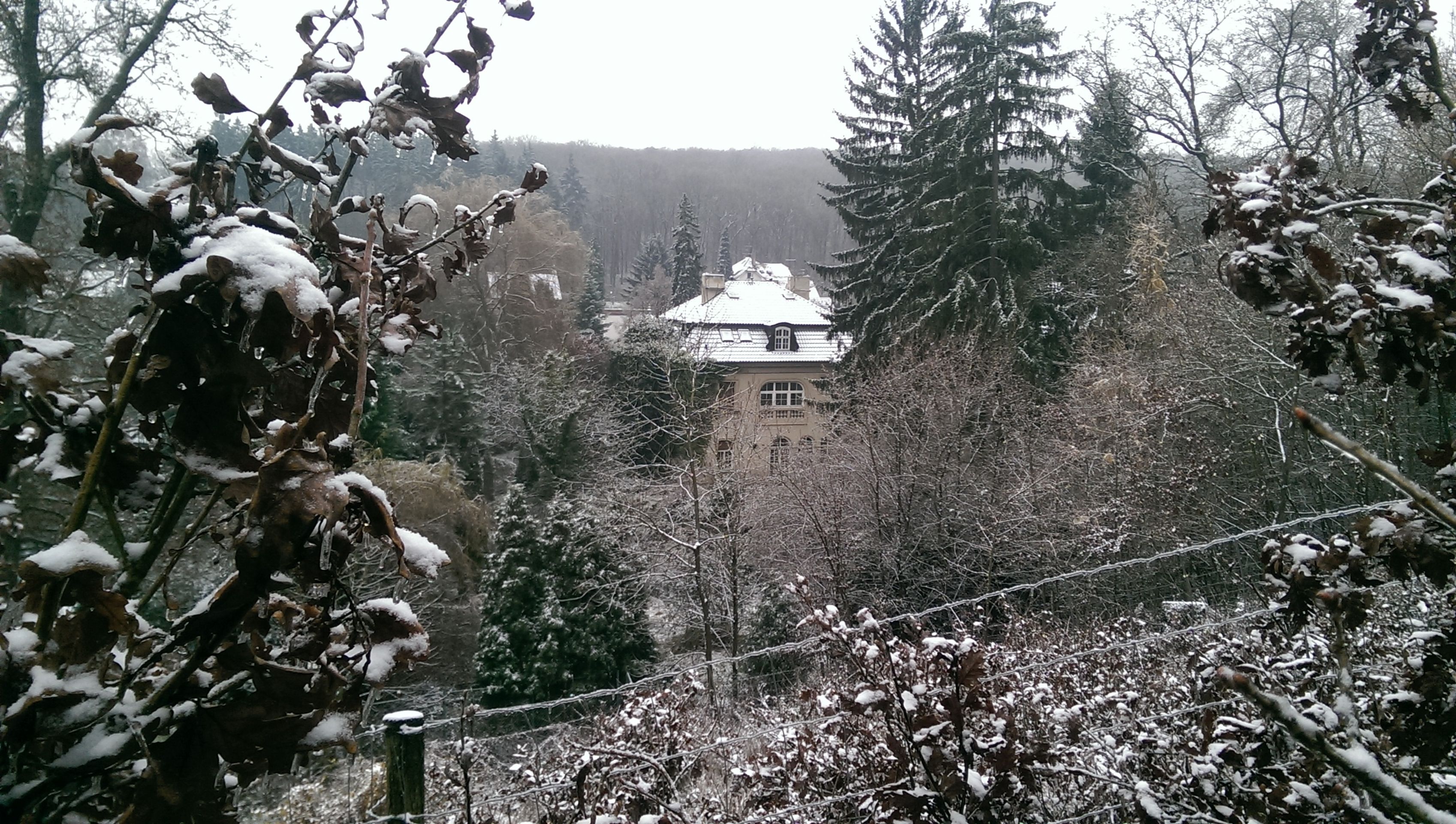 Druhá, tajná vila Radovana Krejčíře - 8 - FOTOGALERIE: Druhá vila Radovana Krejčíře (1/9)