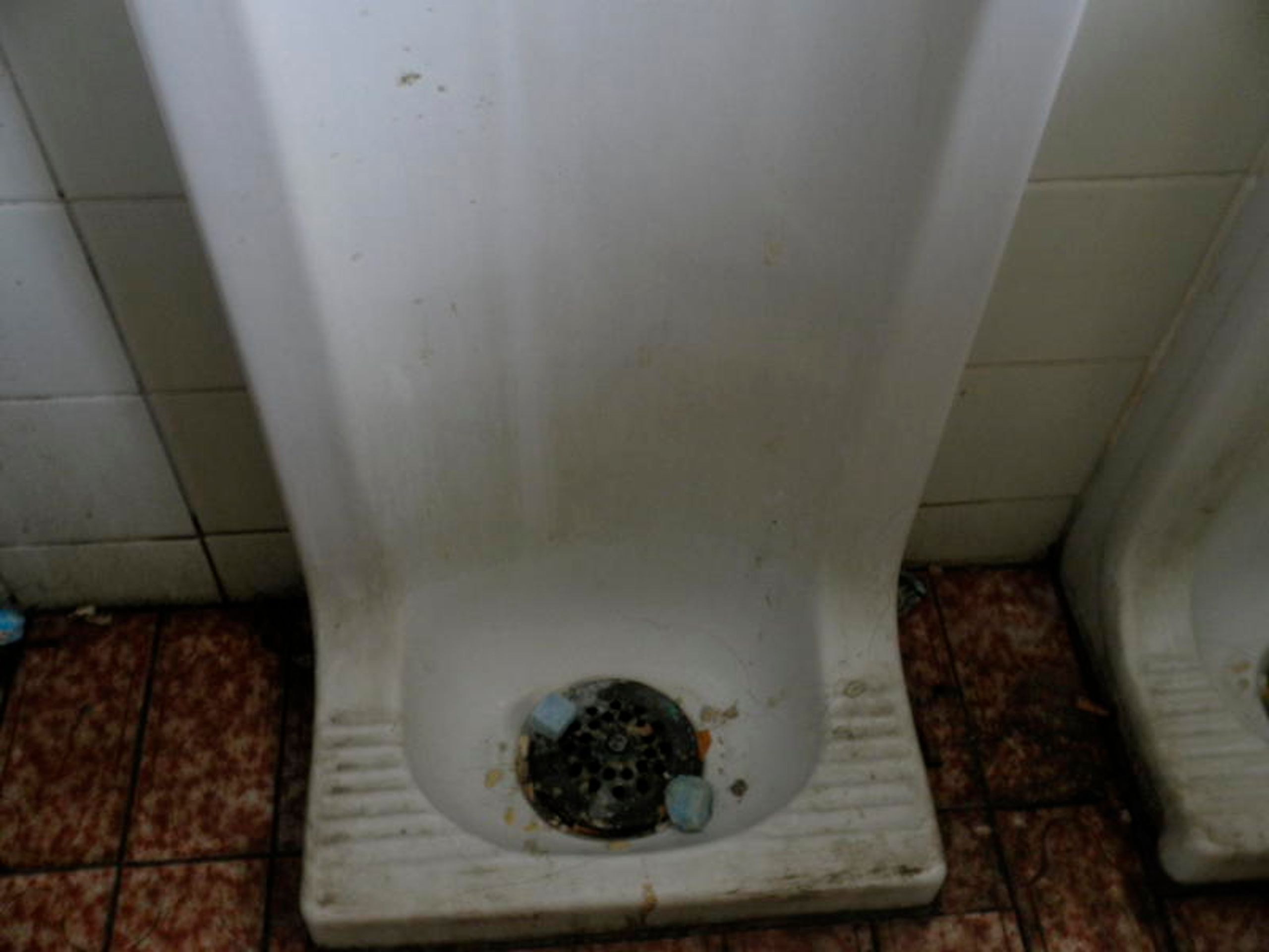 Hygiena uzavřela další provozovny - Skleník Plzeň - 2 - GALERIE: Hygiena uzavřela další provozovny (5/28)