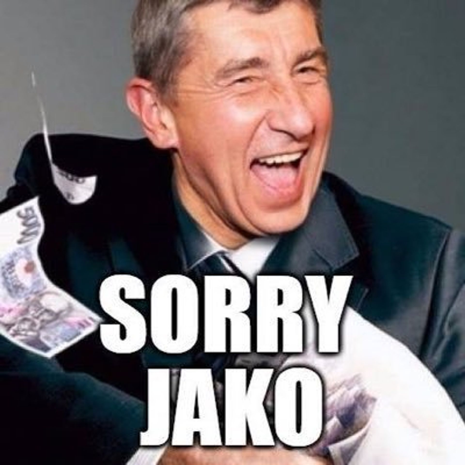 #sorryjako - národ se baví Babišem - 15 - GALERIE: Národ se baví Babišem - pan "Sorry Jako" (4/35)