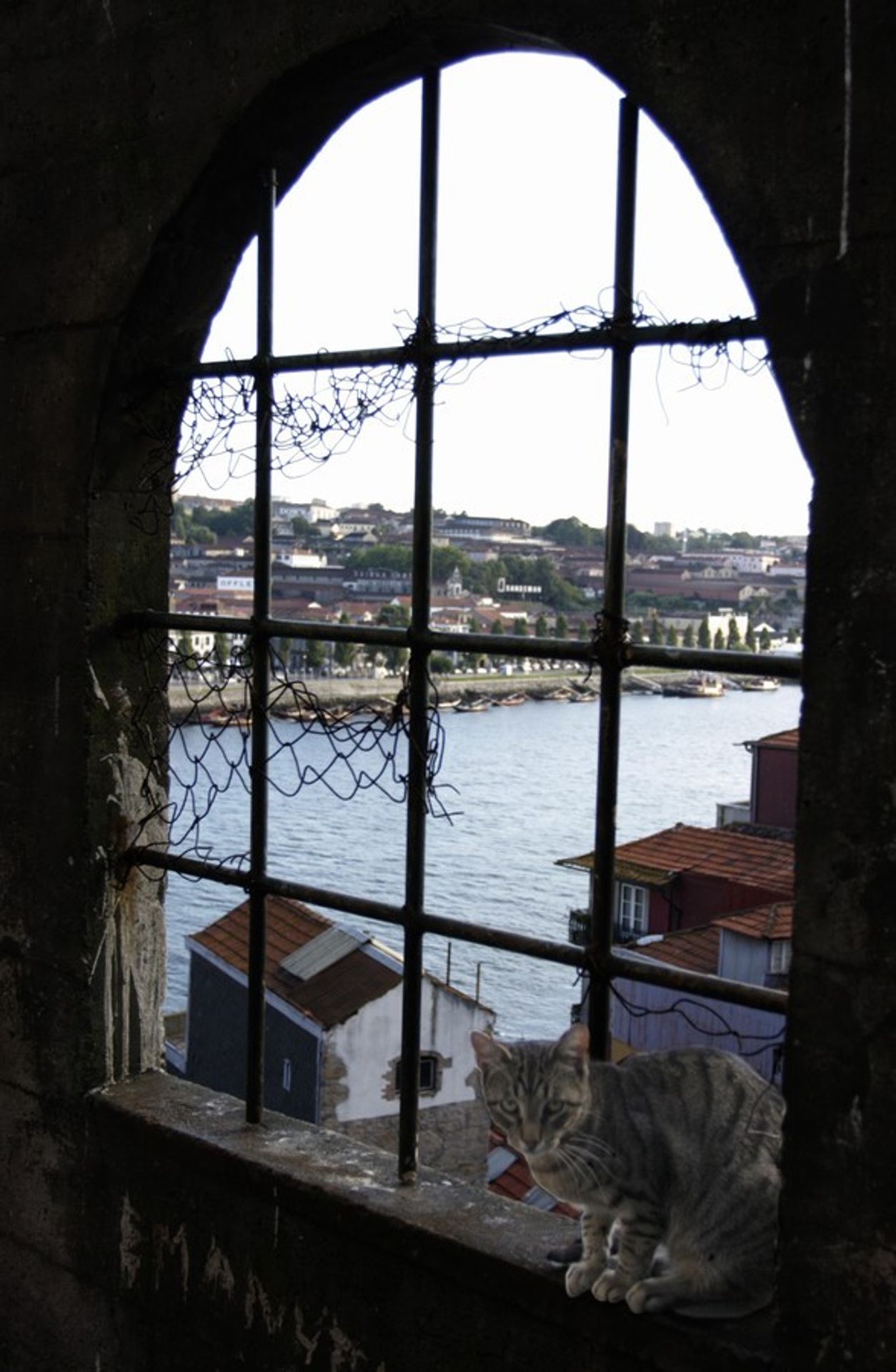 Porto - GALERIE: Porto (10/10)