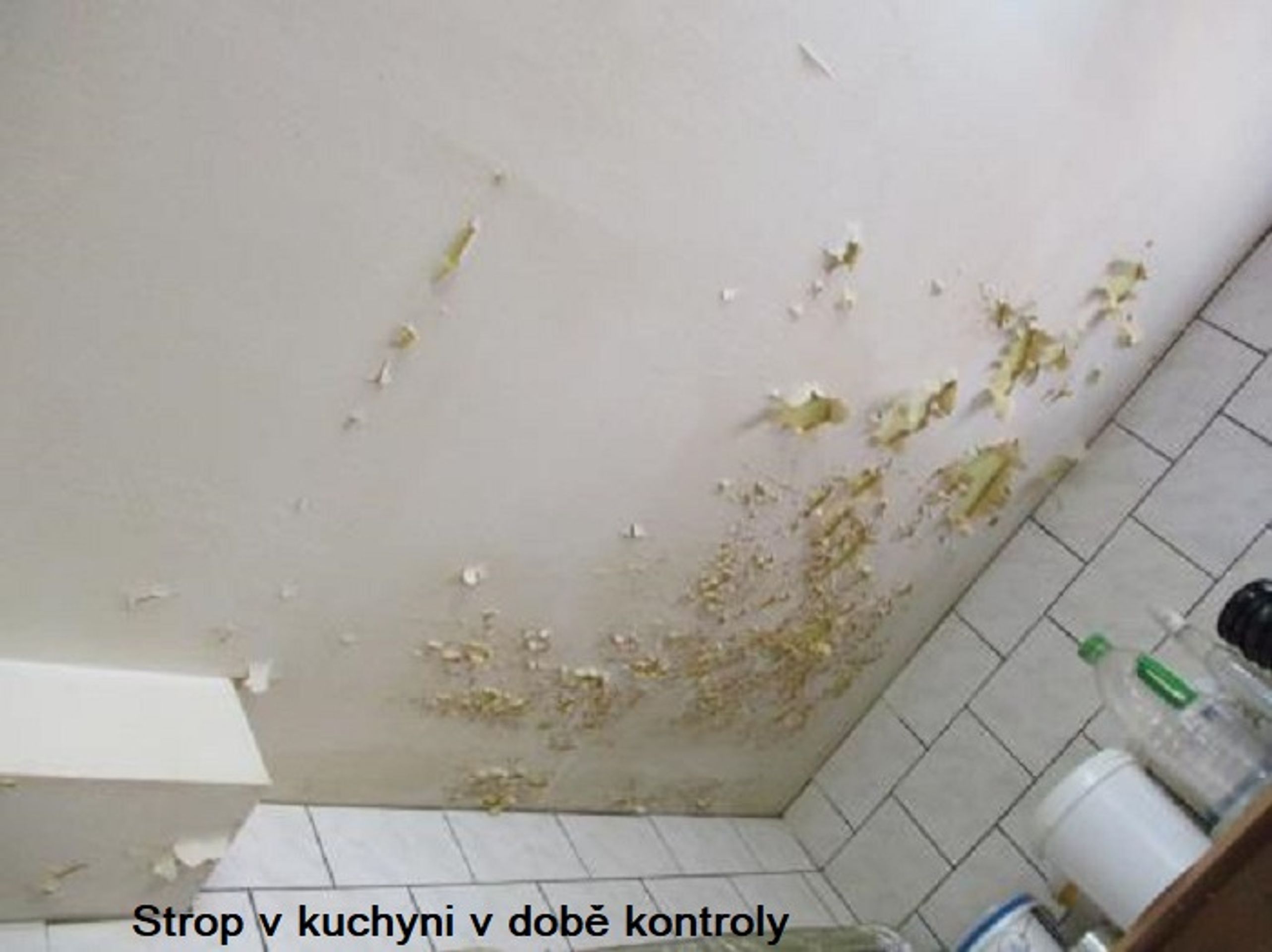 Špína v restauracích a stáncích - 7 - GALERIE: Kontroly v restauracích a stáncích (10/16)
