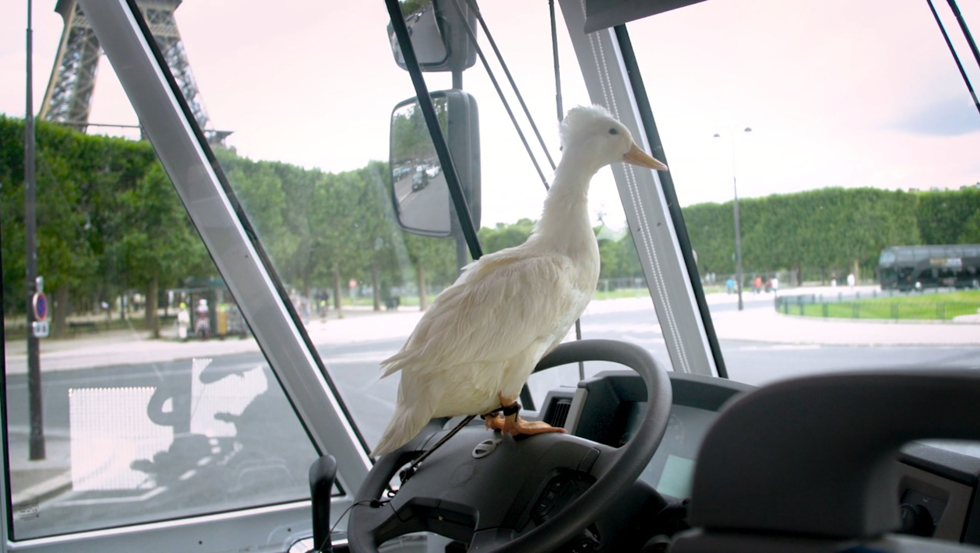 Obojživelný autobus v Paříži - 3 - GALERIE: Obojživelník Marcel (15/17)
