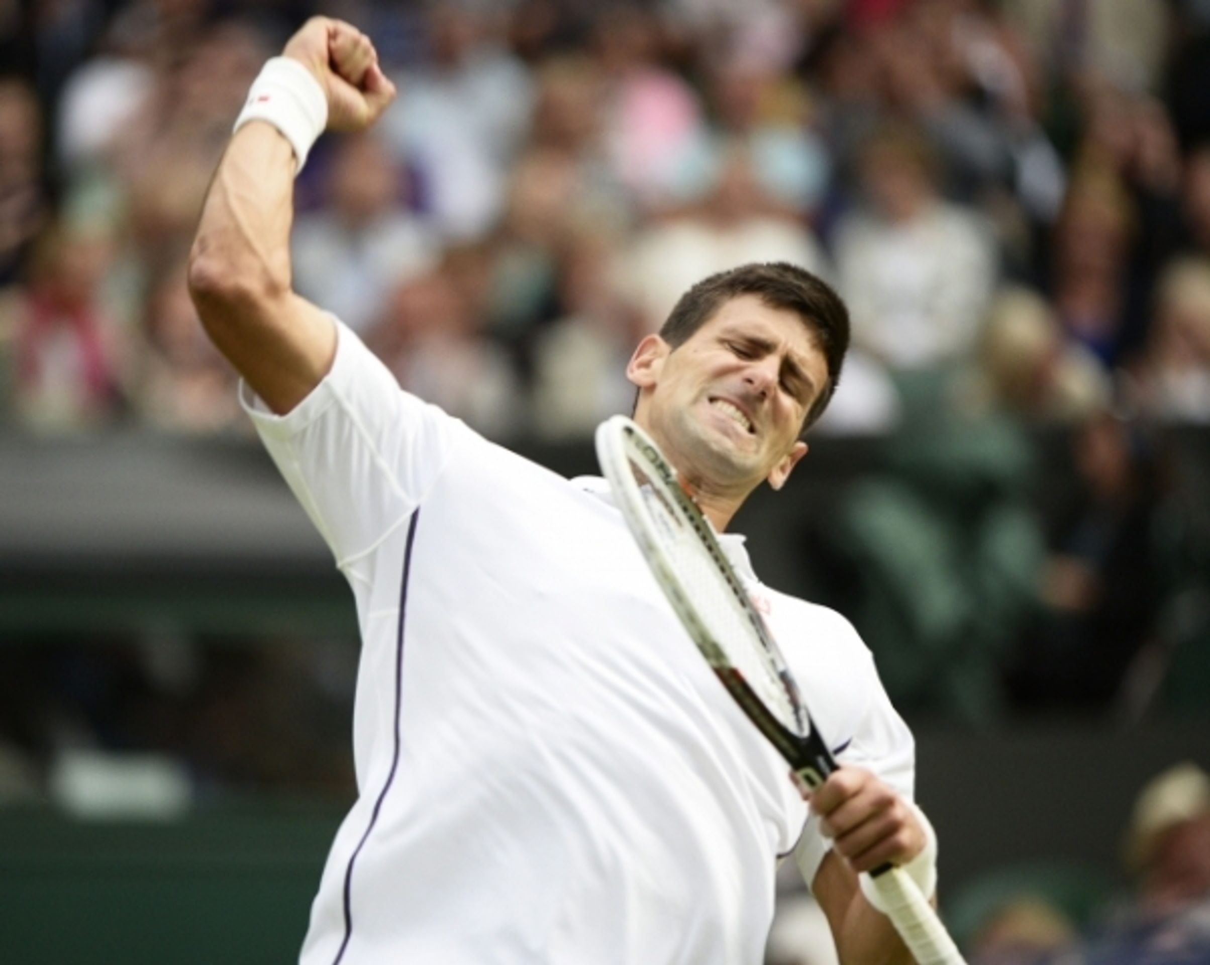 GALERIE: Radek Štěpánek - Nova Djokovič - 10 - GALERIE: Radek Štěpánek - Novak Djokovič, Wimbledon 2014 (11/13)