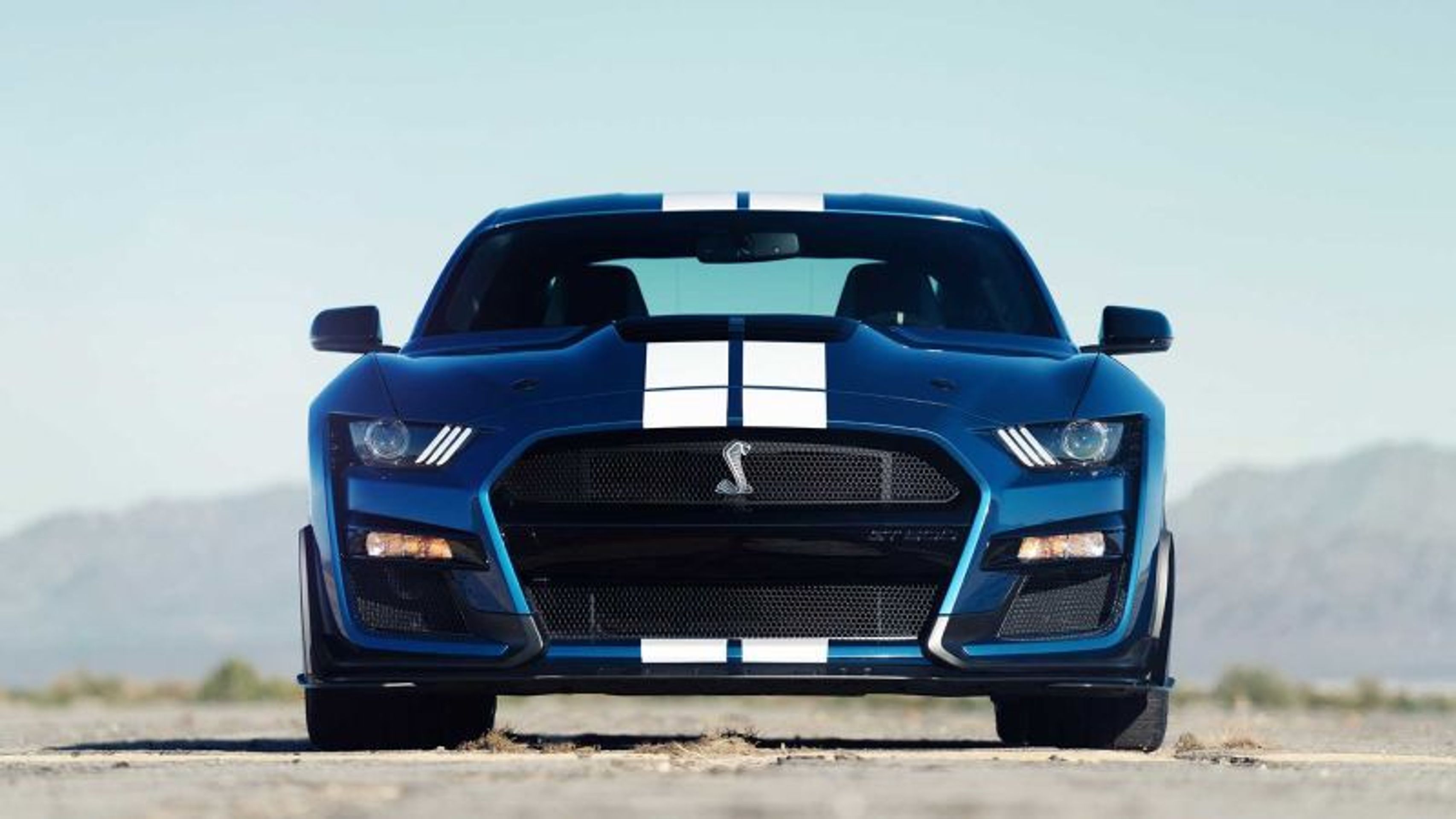 Ford Mustang Shelby GT500 - 21 - Fotogalerie: Nejostřejší Ford v historii, Mustang Shelby GT500 (9/14)