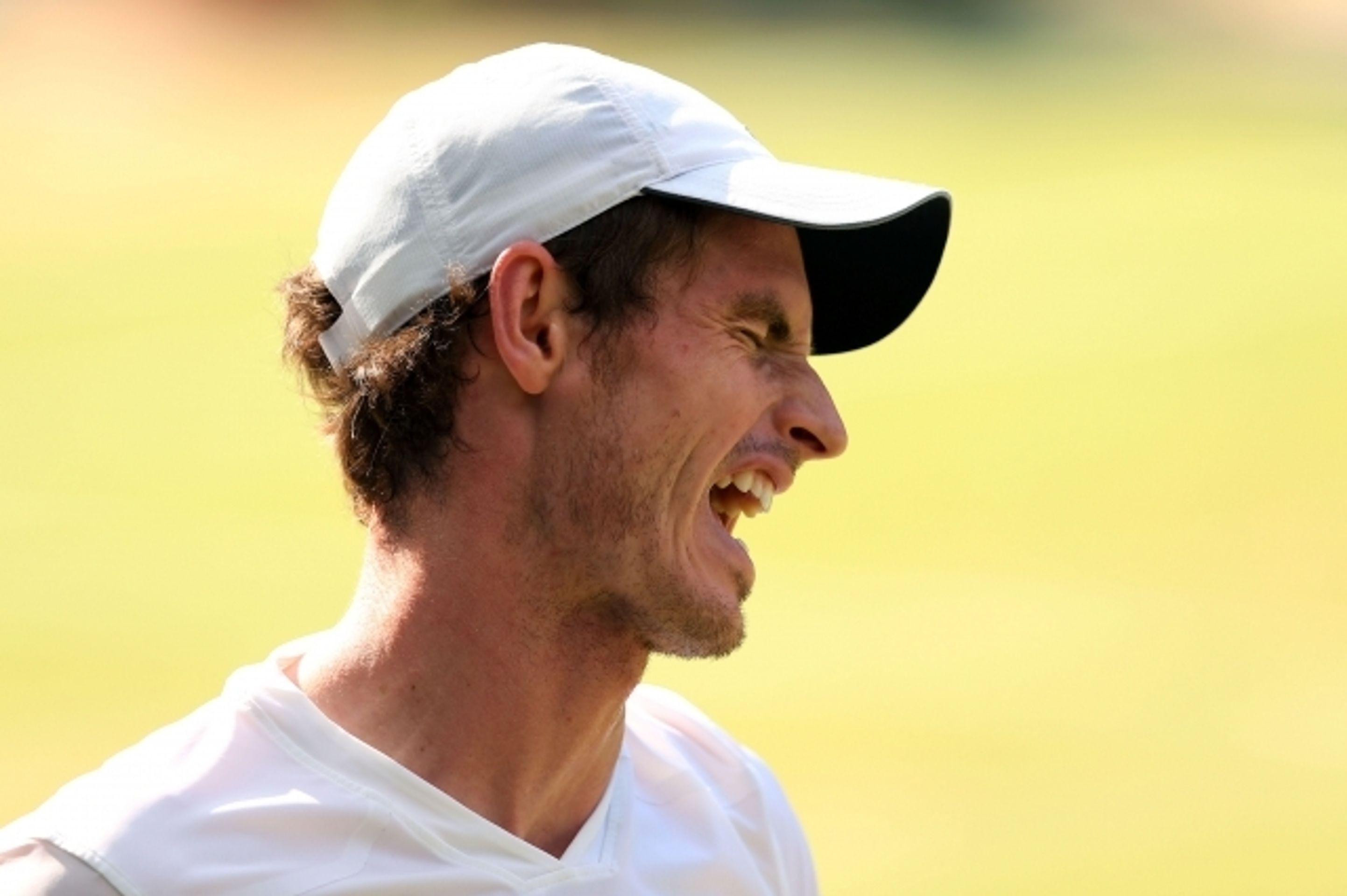 Finale Wimbledonu - hra - 3 - GALERIE: Andy Murray porazil ve finále Wimbledonu Novaka Djokoviče (22/24)