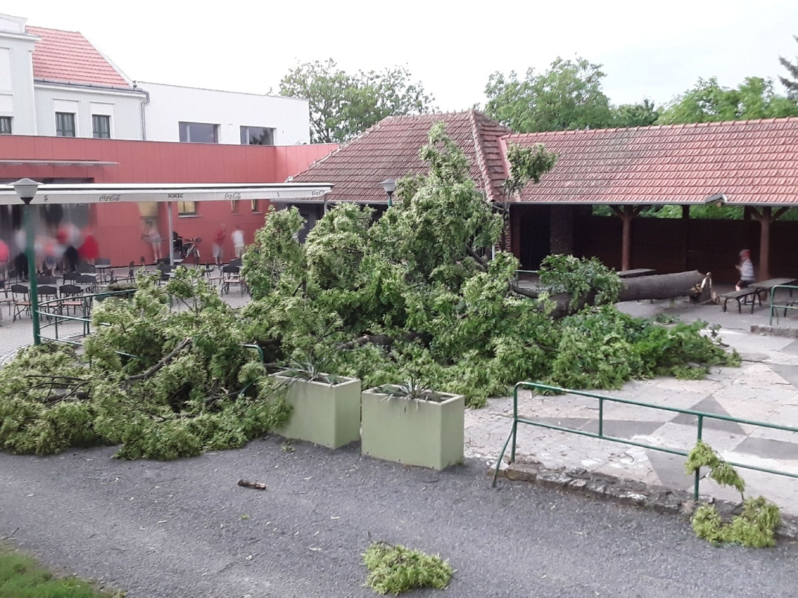 Silné bouřky napáchaly škody po celém Česku - 1 - GALERIE: Silné bouřky a přívalové deště komplikovaly dopravu (2/8)
