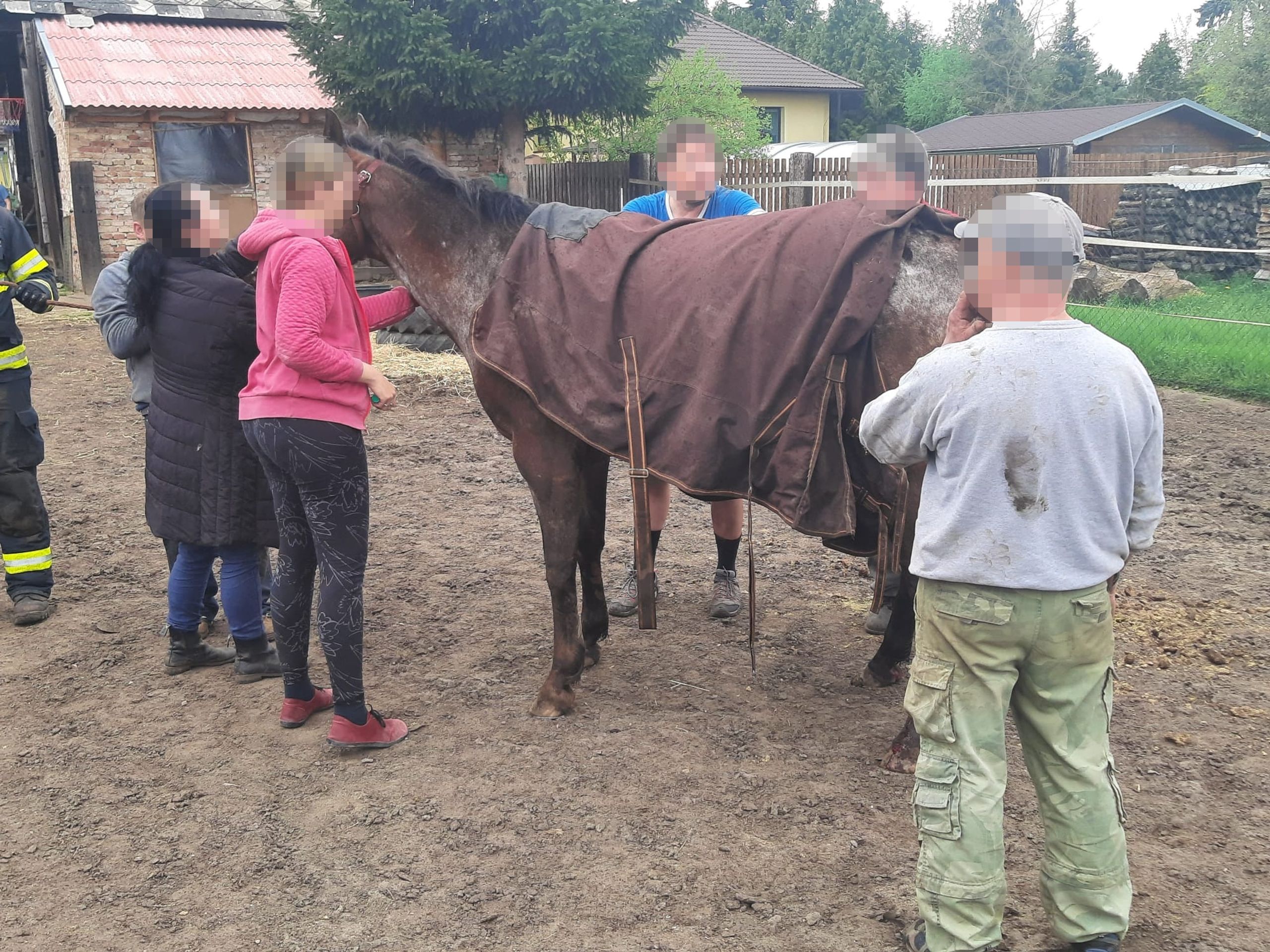 Záchrana koně - Záchrana koně v Lysé nad Labem (6/7)