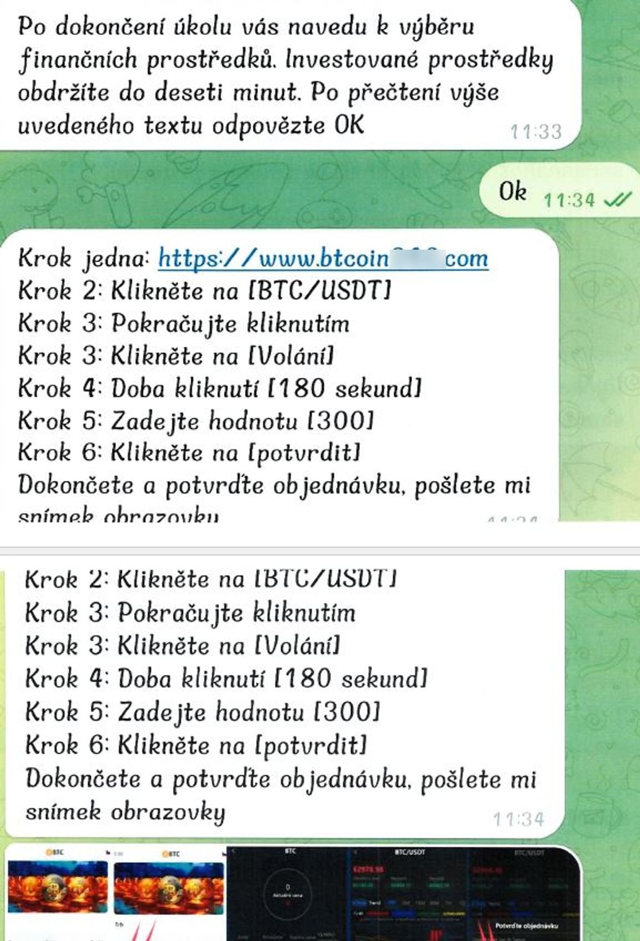 Internetový podvod (11) - Nový internetový podvod (7/14)