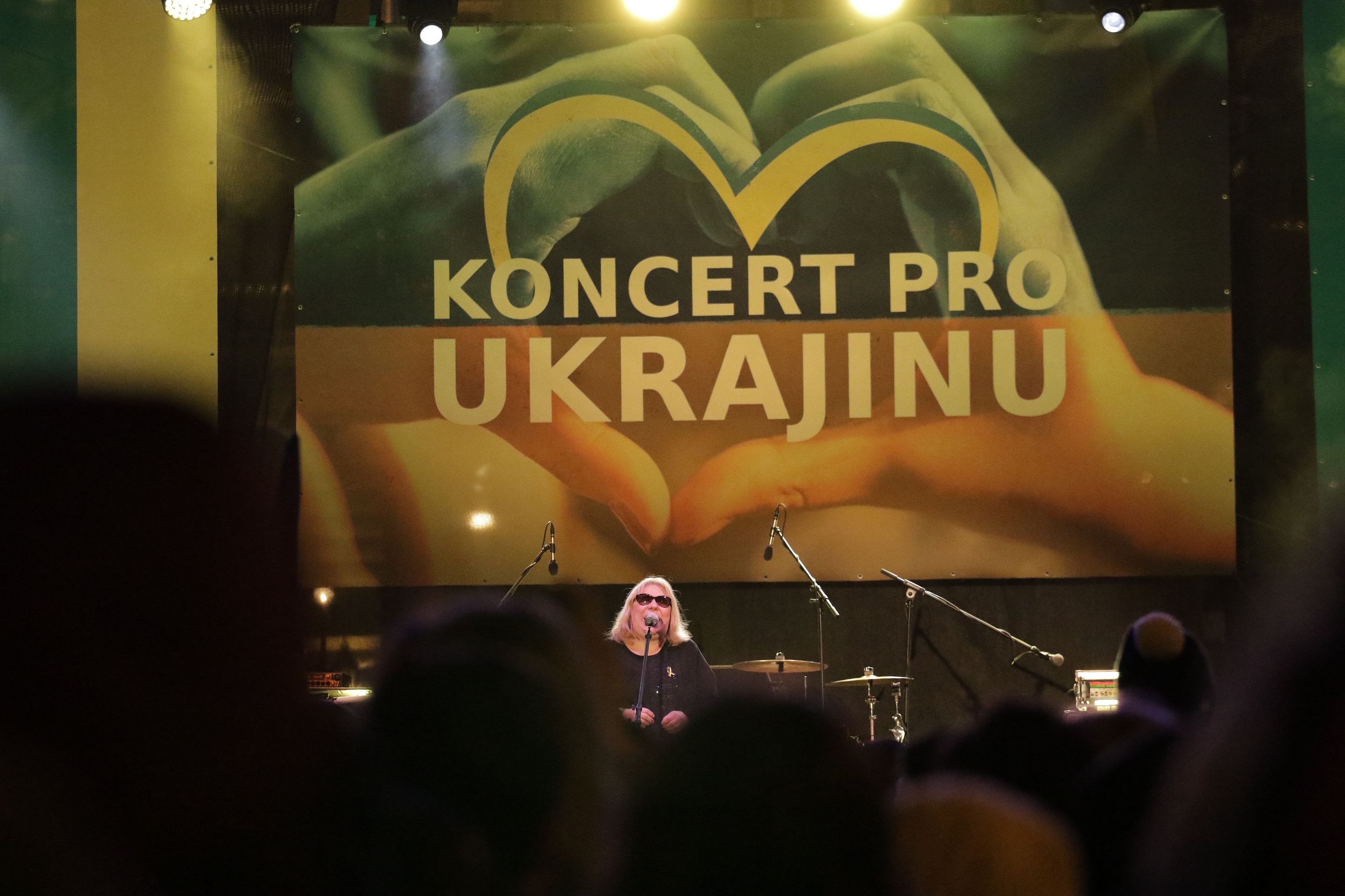 Koncert pro Ukrajinu - Koncert pro Ukrajinu (8/20)