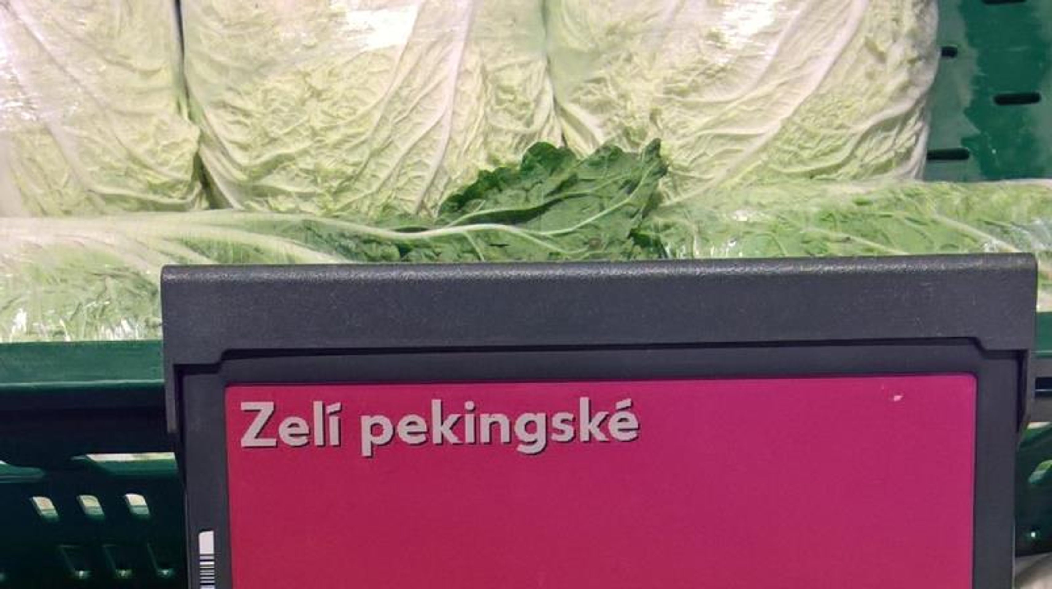 Zelí pekingské Kaufland Česká republika v.o.s. Teplice - GALERIE: Nebezpečné potraviny v říjnu a listopadu 2 (44/49)