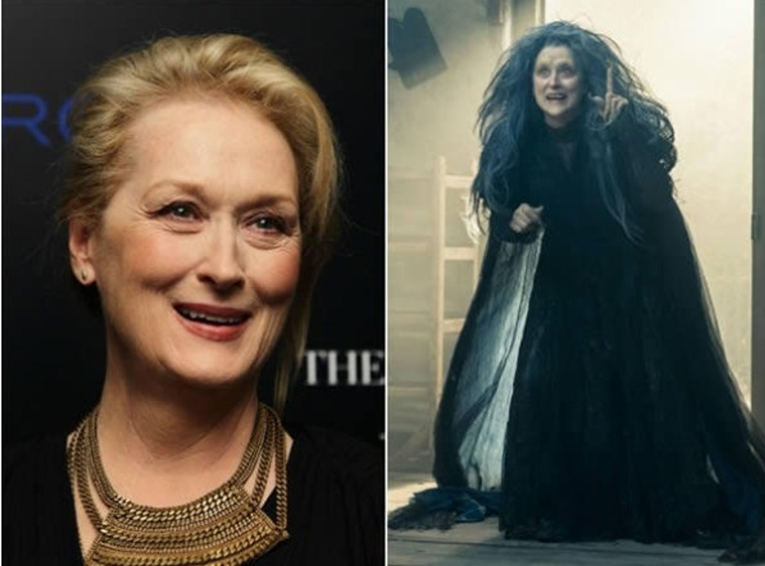 Meryl Streep (Čarodějnice, Čarovný les) - GALERIE: Filmové postavy bez make-upu (8/13)