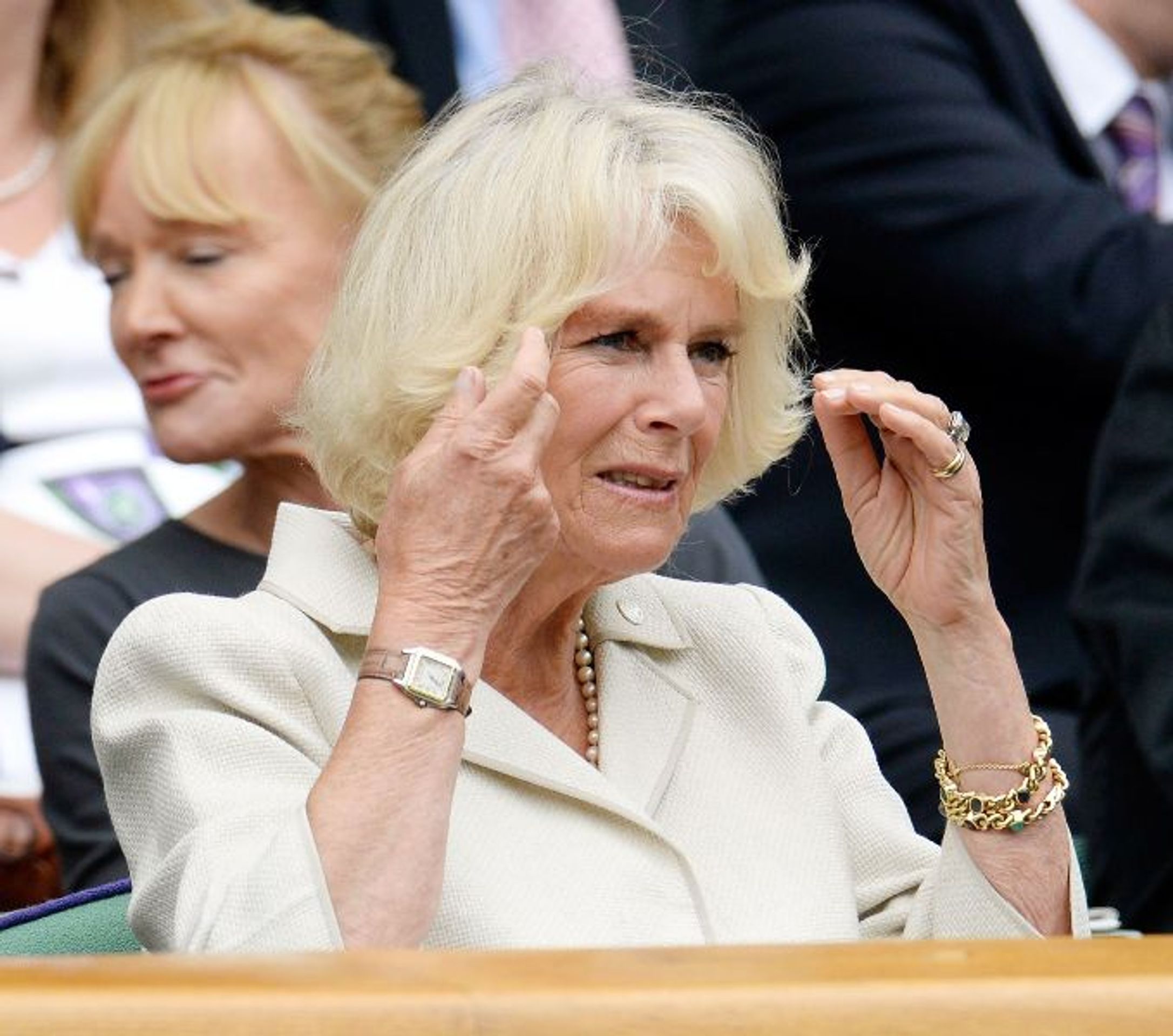 Camilla, vévodkyně z Cornwallu, druhá žena prince Charlese - Galerie: Vyostřené vztahy uvnitř královské rodiny (1/9)