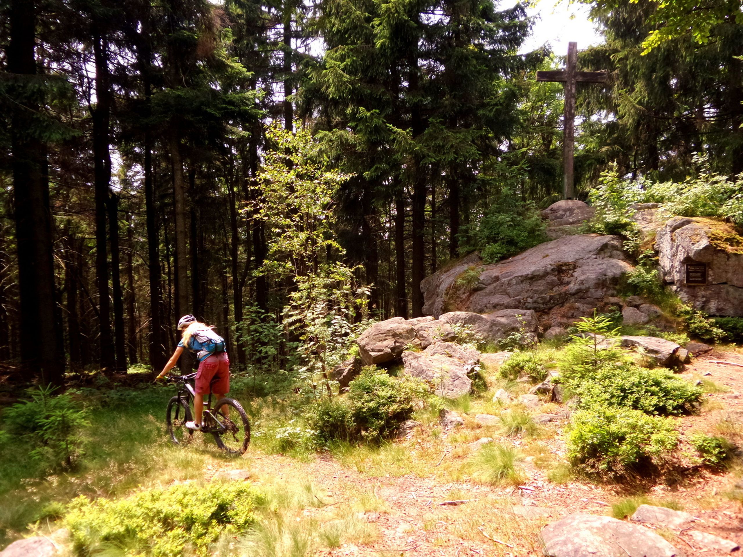 Německý Geisskopf - 27 - GALERIE: Německý Geissenkopg - bikepark (10/12)