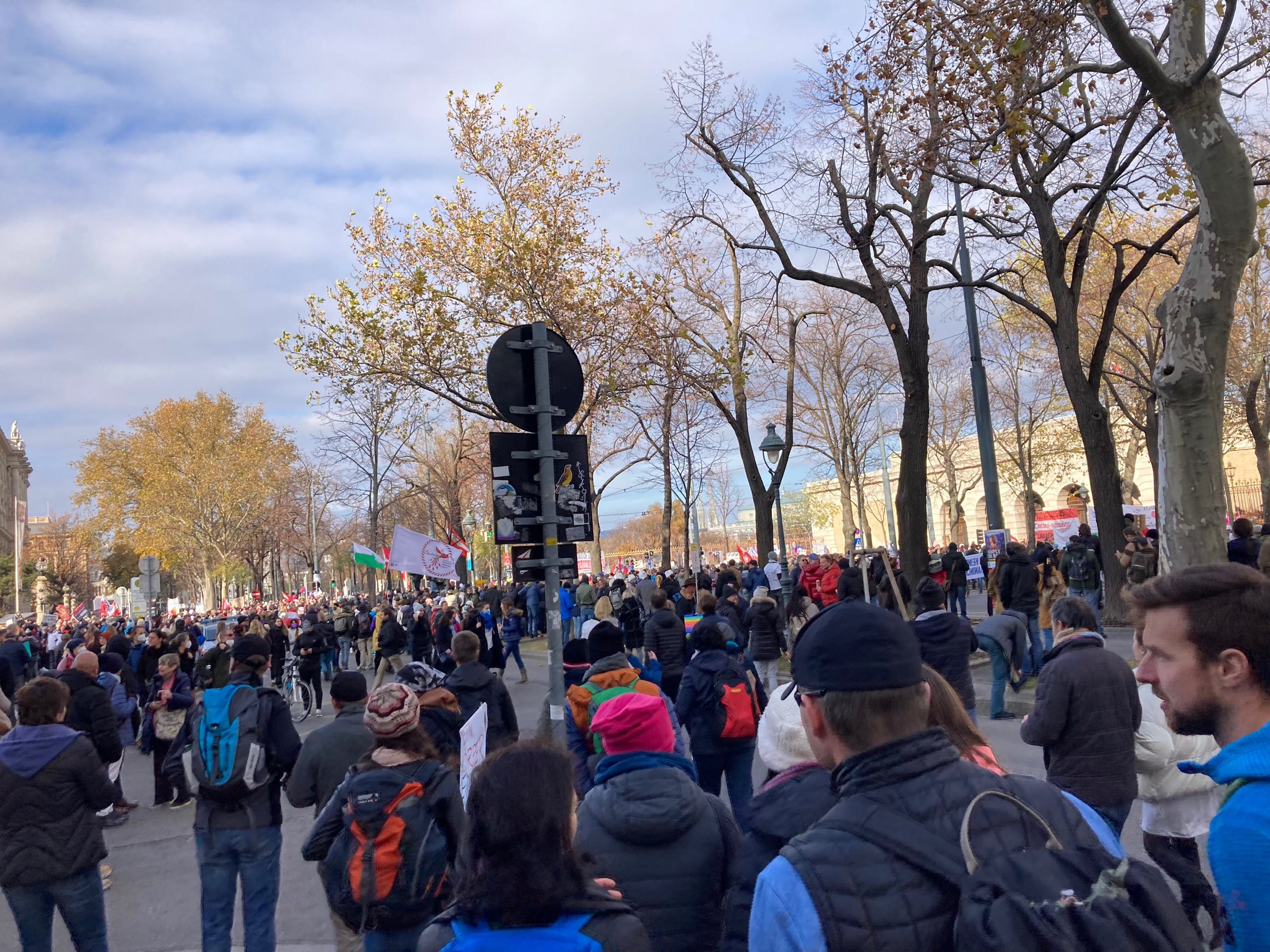 Protesty v Rakousku - Demonstrace ve Vídni (6/8)
