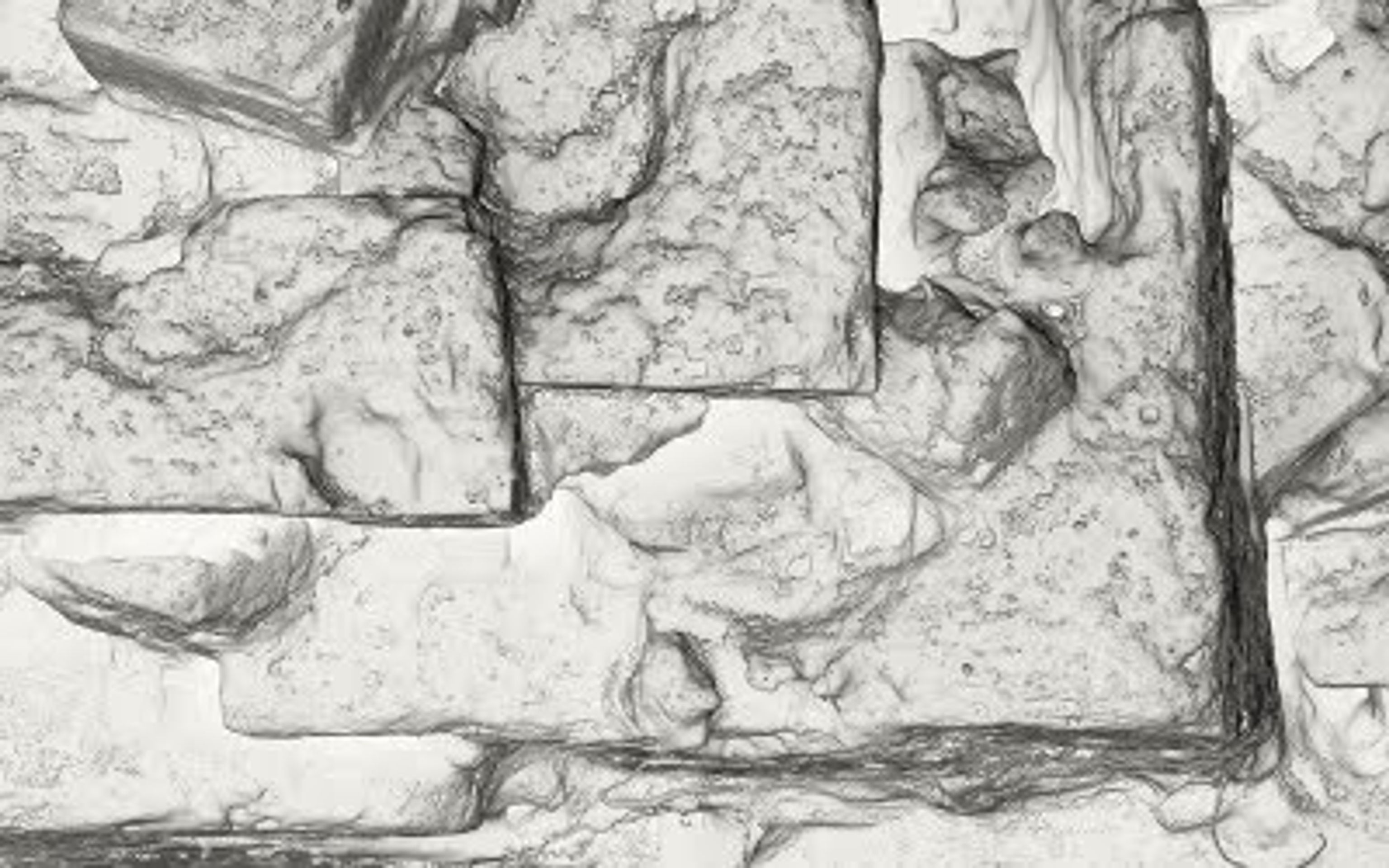 Obrázky z elektromikroskopu - 13 - GALERIE: Obrázky z elektromikroskopu (11/23)