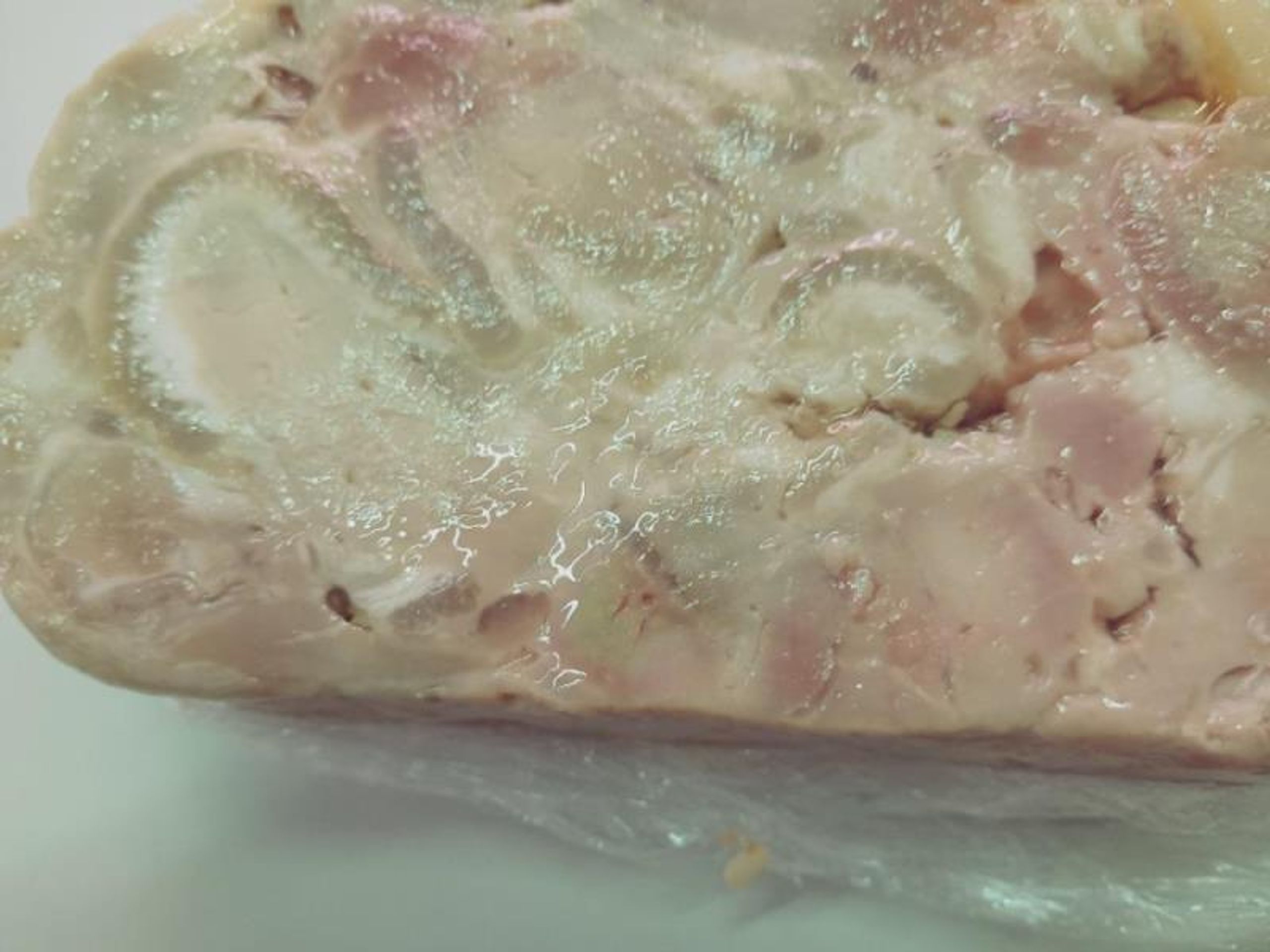 Zdraví nebezpečné šunkové koleno ručně skládané (2) - Zdraví nebezpečné potraviny (4/8)