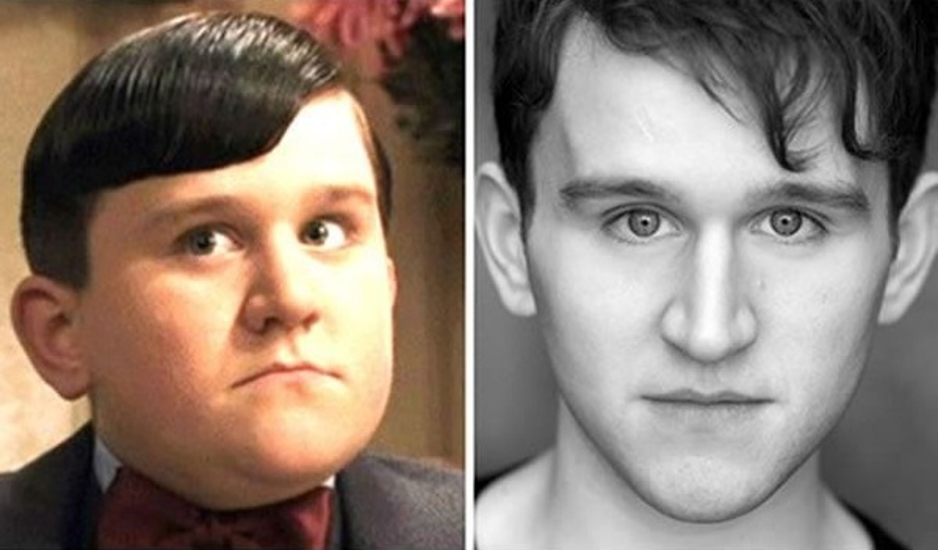 Harry Potter - postavy - Dudley Dursley - Harry Melling - GALERIE: Harry Potter - postavy (15/22)