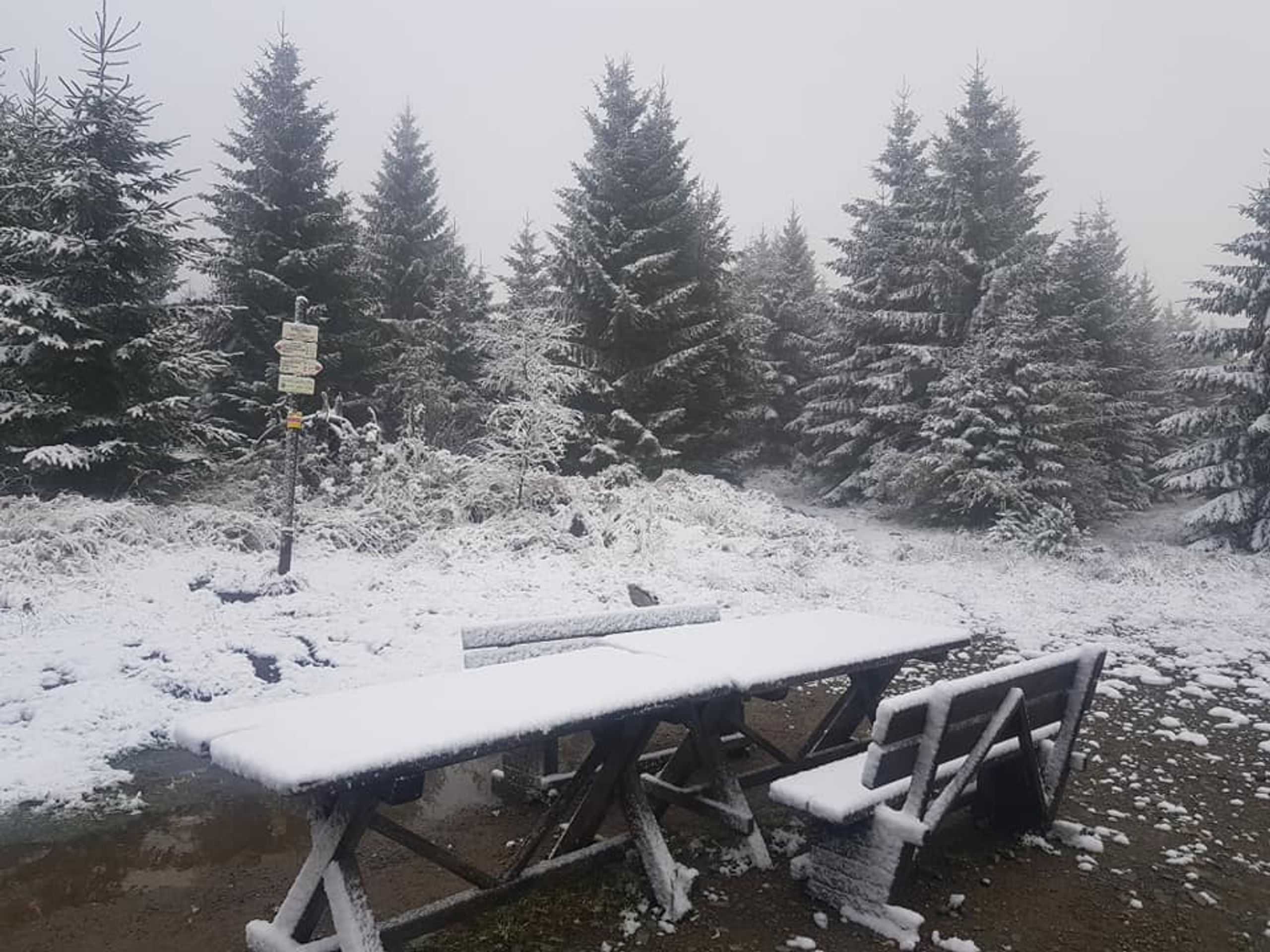 První sníh na Kvildě (2) - V Česku napadl první sníh (6/9)