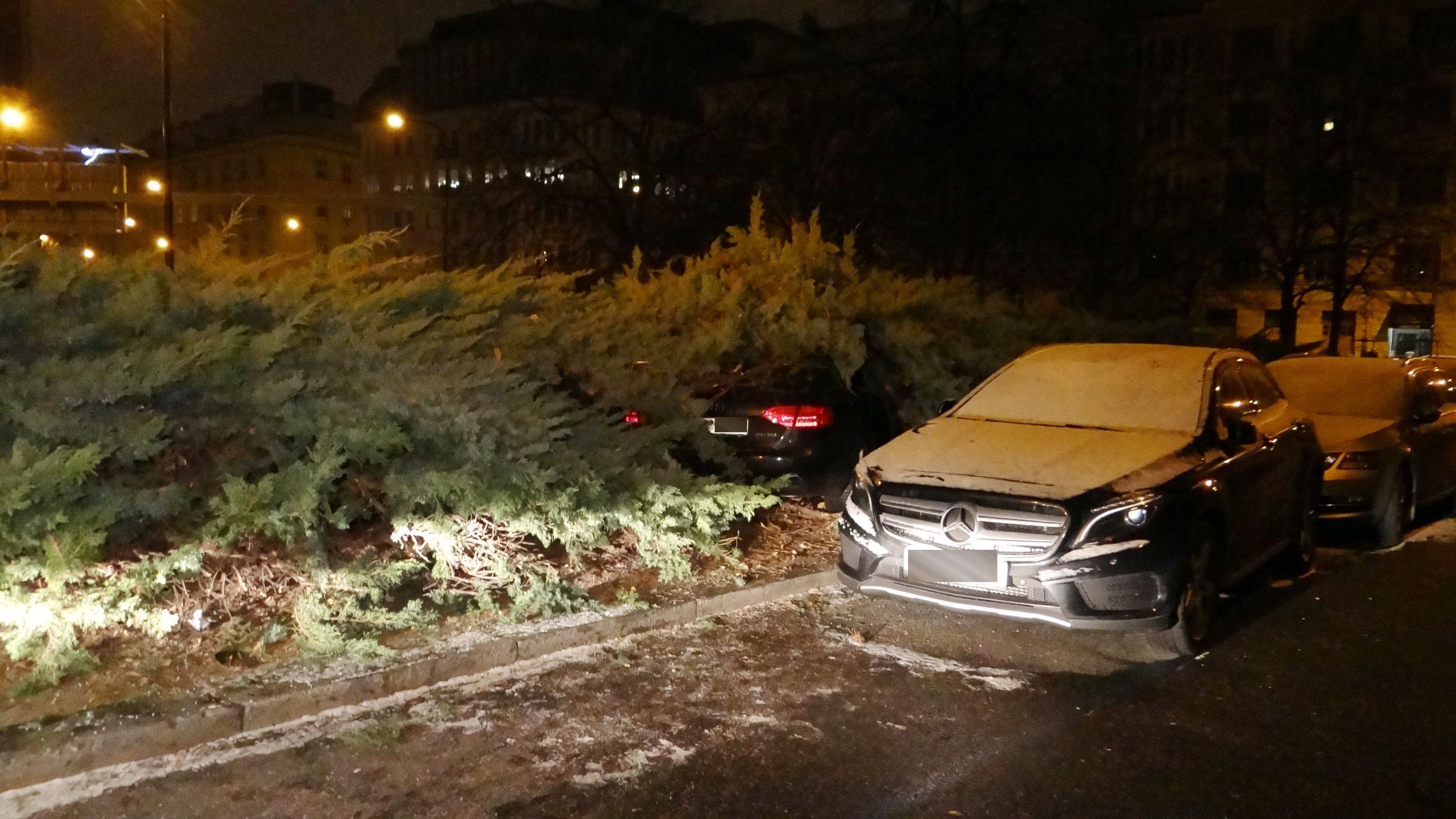 Řidič nevybral zatáčku a auto zmizelo v hustém křoví - GALERIE: V nabouraném autě byla puška (2/6)